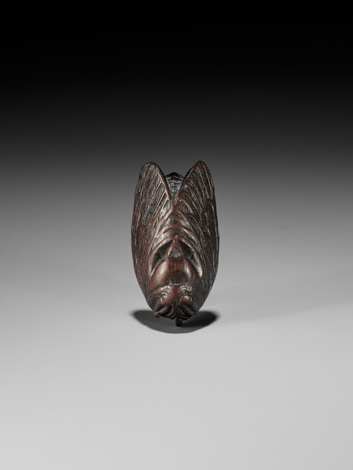 A RARE AND UNUSUAL WOOD MASK NETSUKE OF A CICADA - Image 11 of 12