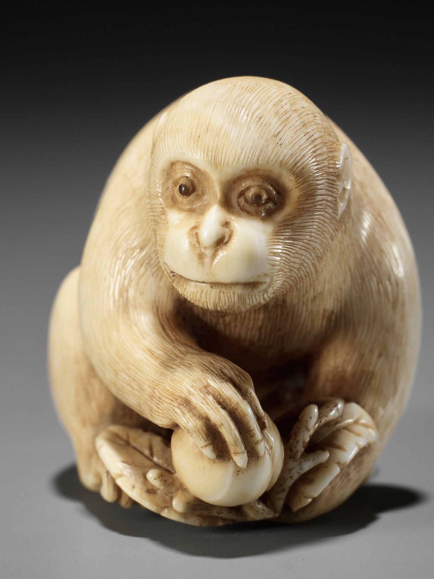 OKATORI: A FINE IVORY NETSUKE OF A MONKEY WITH A PEACH - Bild 13 aus 15