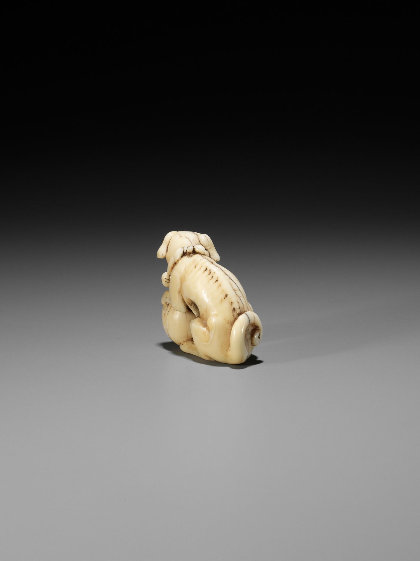 TOMOTADA: AN IVORY NETSUKE OF A DOG WITH BALL - Bild 6 aus 12