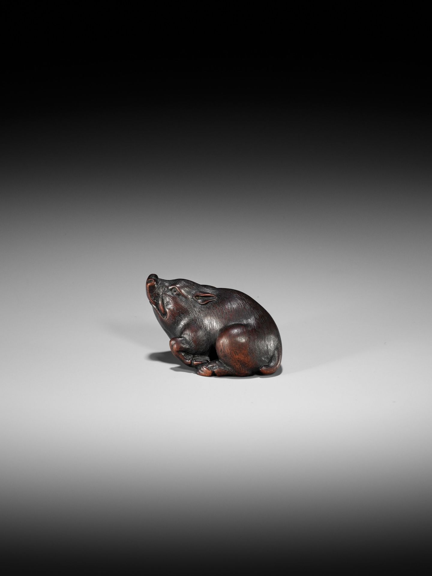 ITTAN: A SUPERB WOOD NETSUKE OF A WILD BOAR - Bild 8 aus 14