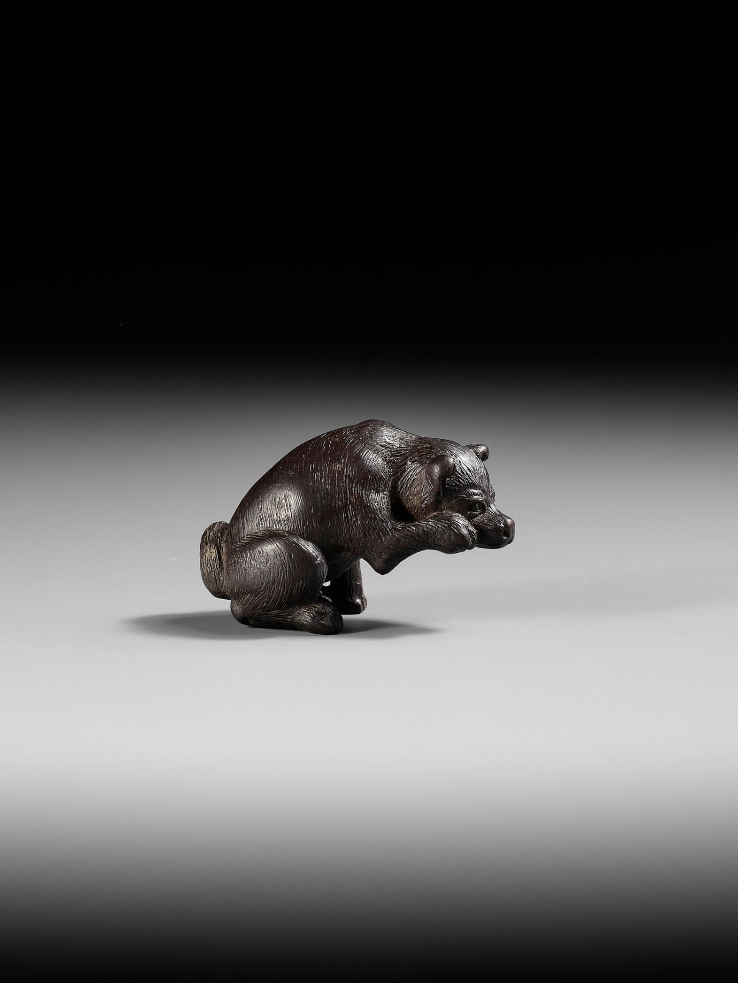 A RARE DARK WOOD NETSUKE OF A DOG SCRATCHING ITS JOWL - Bild 10 aus 10