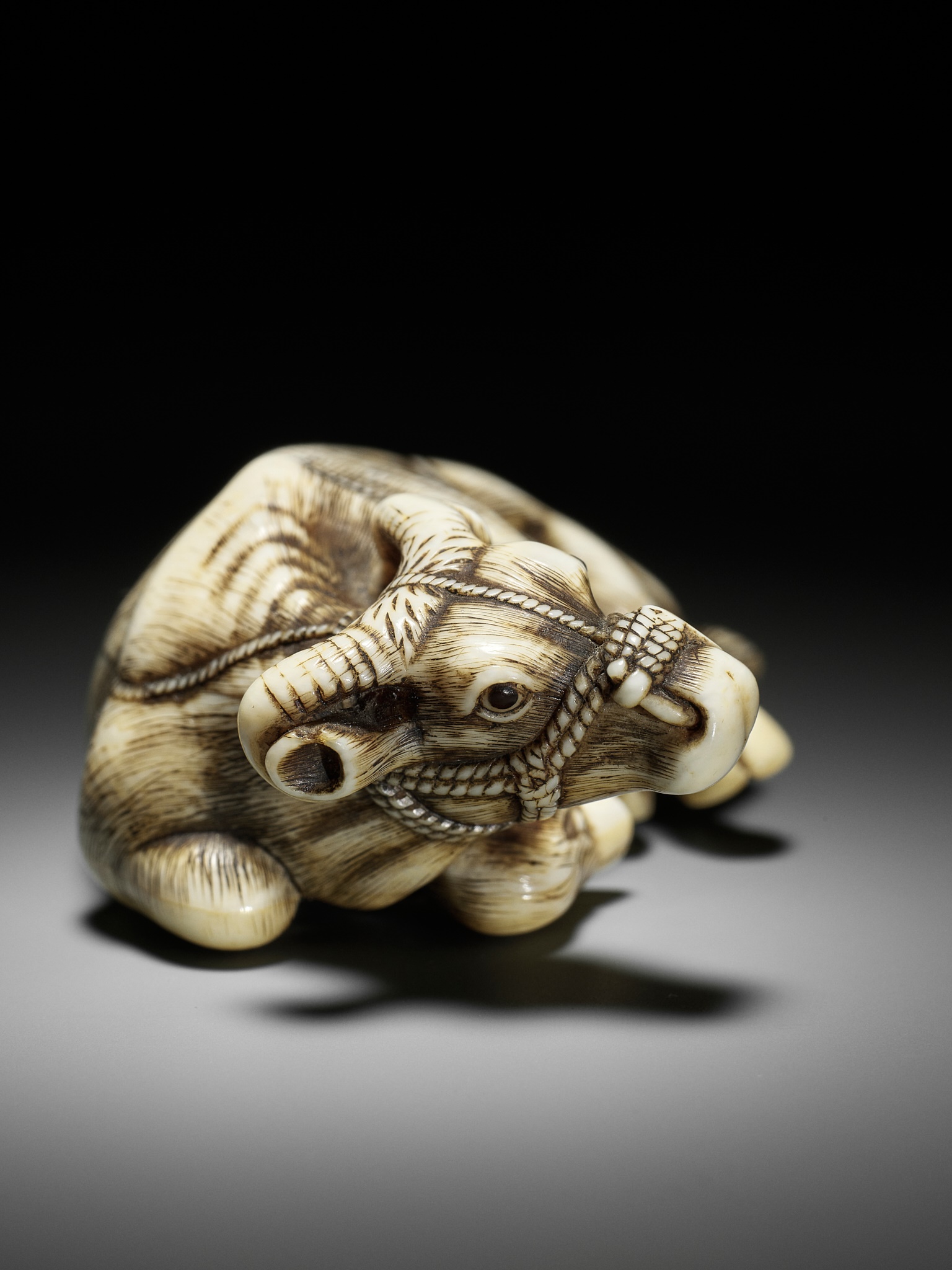 TOMOTADA: A SUPERB IVORY NETSUKE OF A RECUMBENT COW - Image 2 of 18