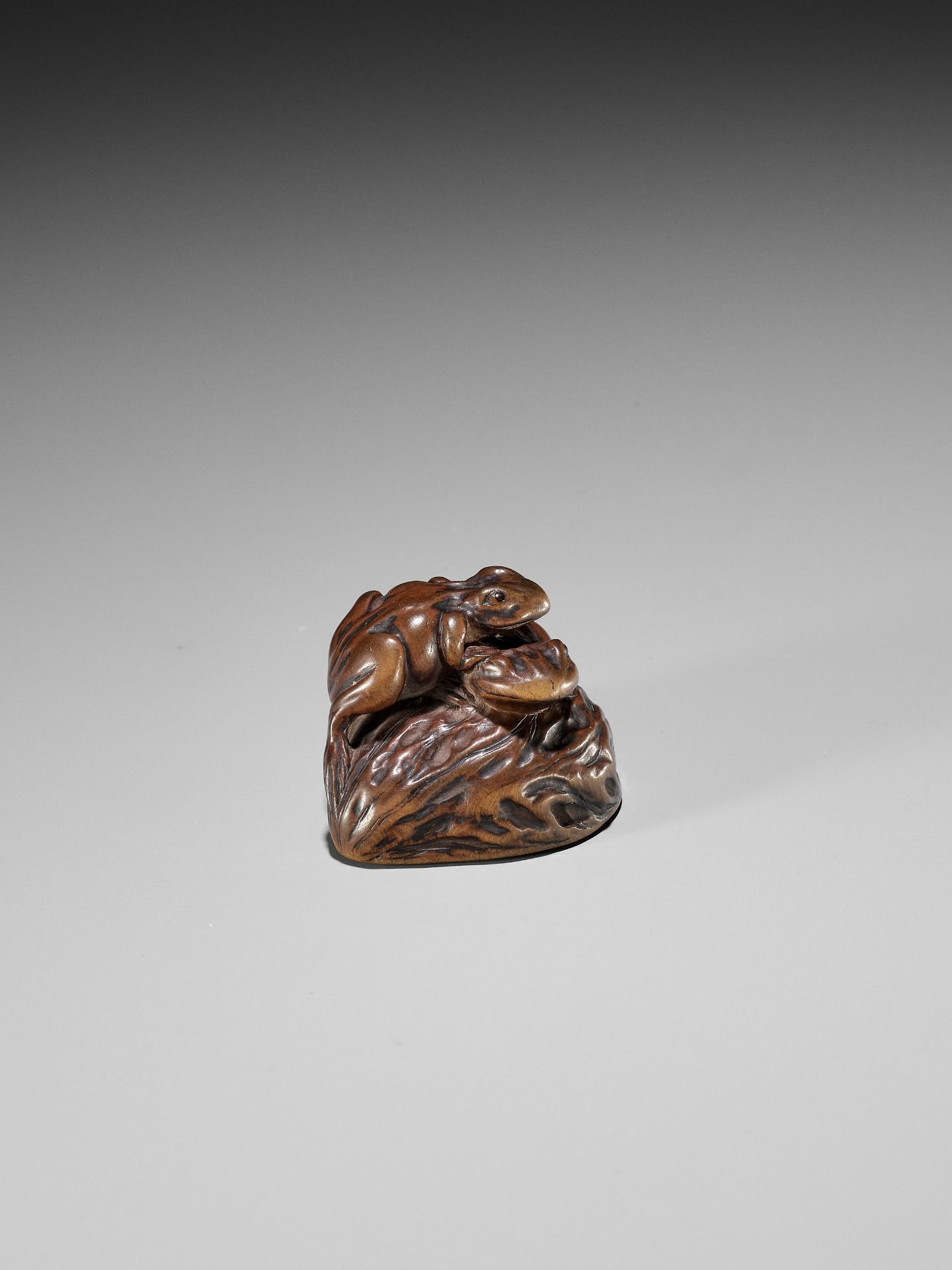 ISSAN: A WOOD NETSUKE OF TWO TOADS ON A WALNUT - Image 10 of 11