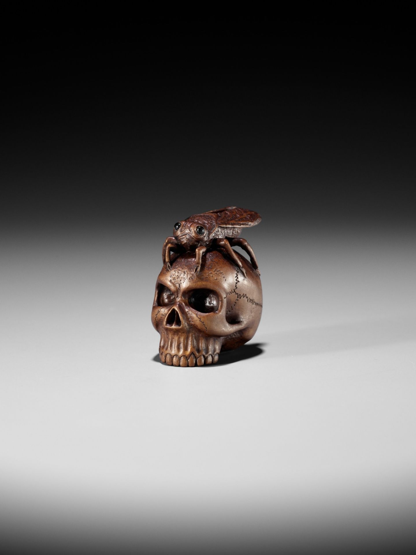 ALEXANDER DERKACHENKO: A WOOD NETSUKE OF A CICADA ON A SKULL - Bild 13 aus 16