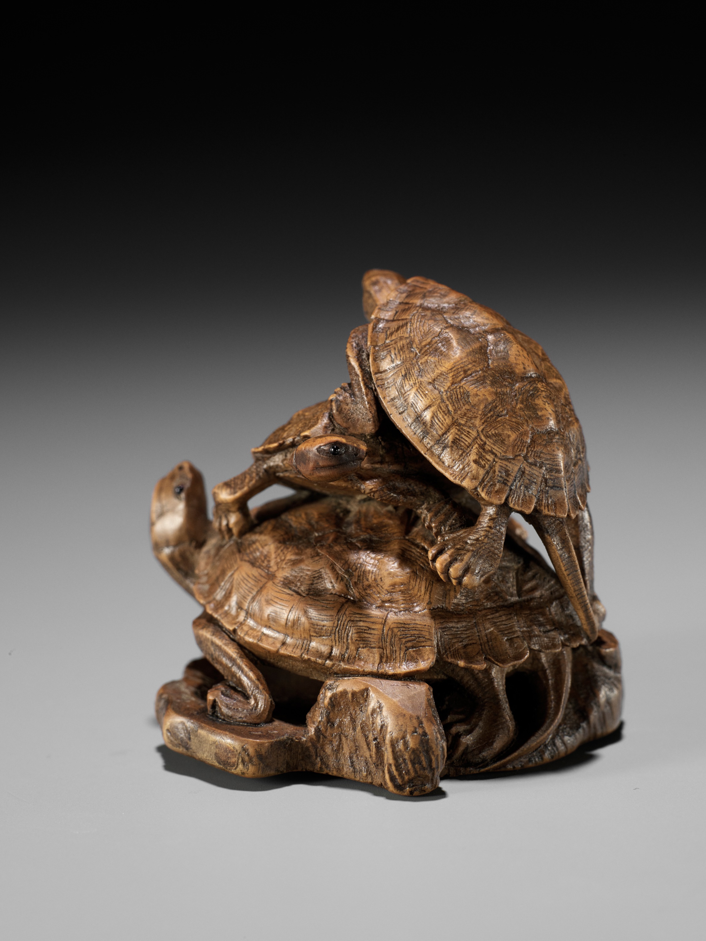 A WOOD OKIMONO NETSUKE OF A TURTLE PILE ON A ROOF TILE, ATTRIBUTED TO TADAKAZU - Image 2 of 14