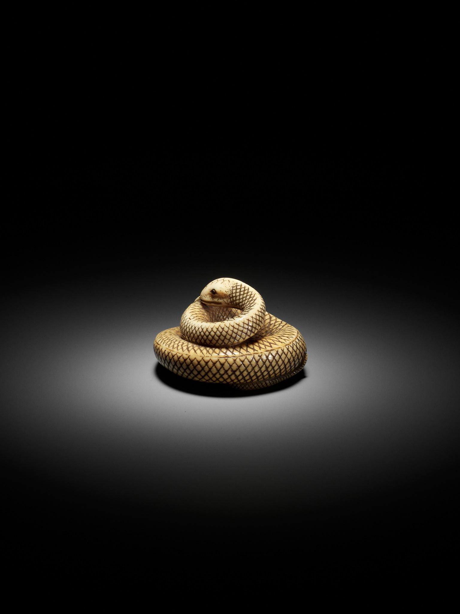 AN IVORY NETSUKE OF A COILED SNAKE, ATTRIBUTED TO OKATOMO - Image 6 of 16