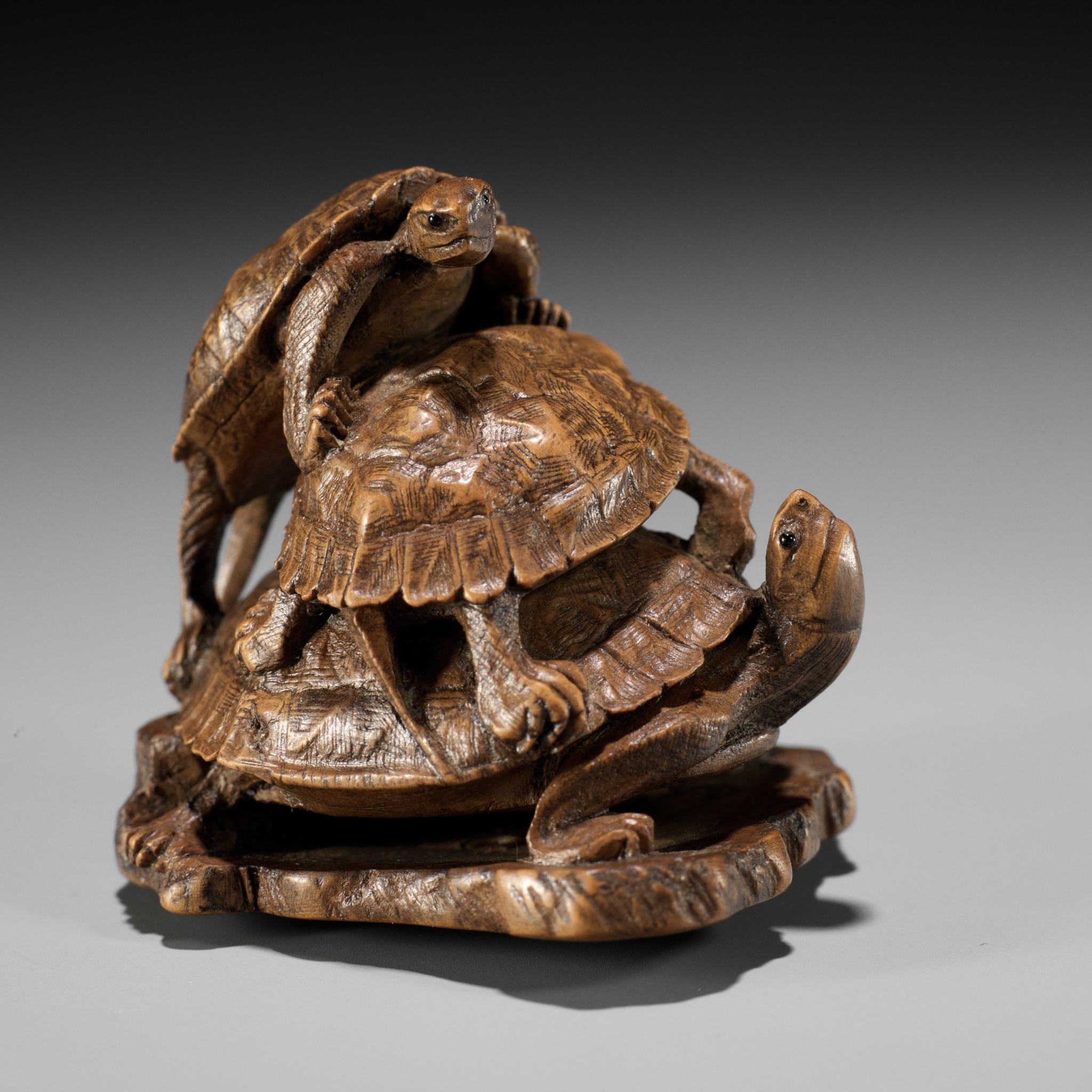 A WOOD OKIMONO NETSUKE OF A TURTLE PILE ON A ROOF TILE, ATTRIBUTED TO TADAKAZU