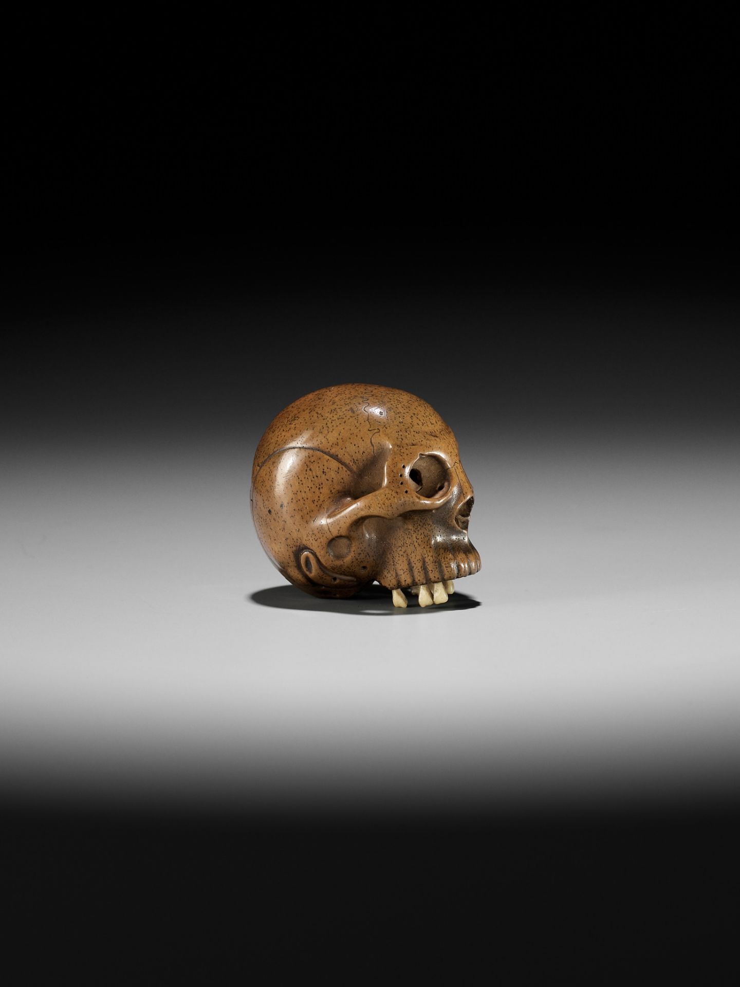 TADASHIGE: A SUPERB WOOD NETSUKE OF A SKULL WITH INLAID STAG ANTLER TEETH - Image 10 of 12