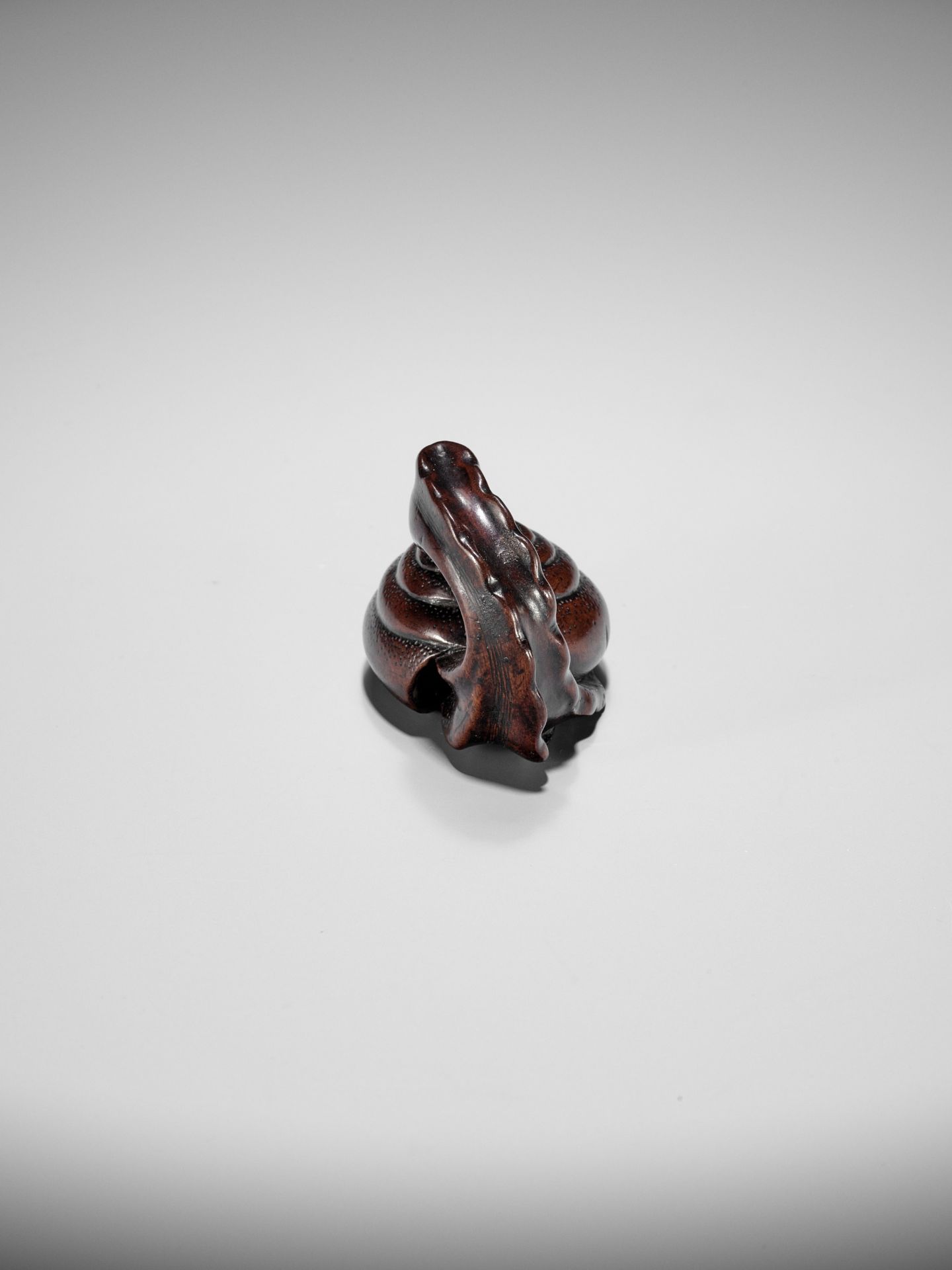 SHUZAN: AN EXCEPTIONAL WOOD NETSUKE OF A SNAIL ACROBAT - Bild 11 aus 25