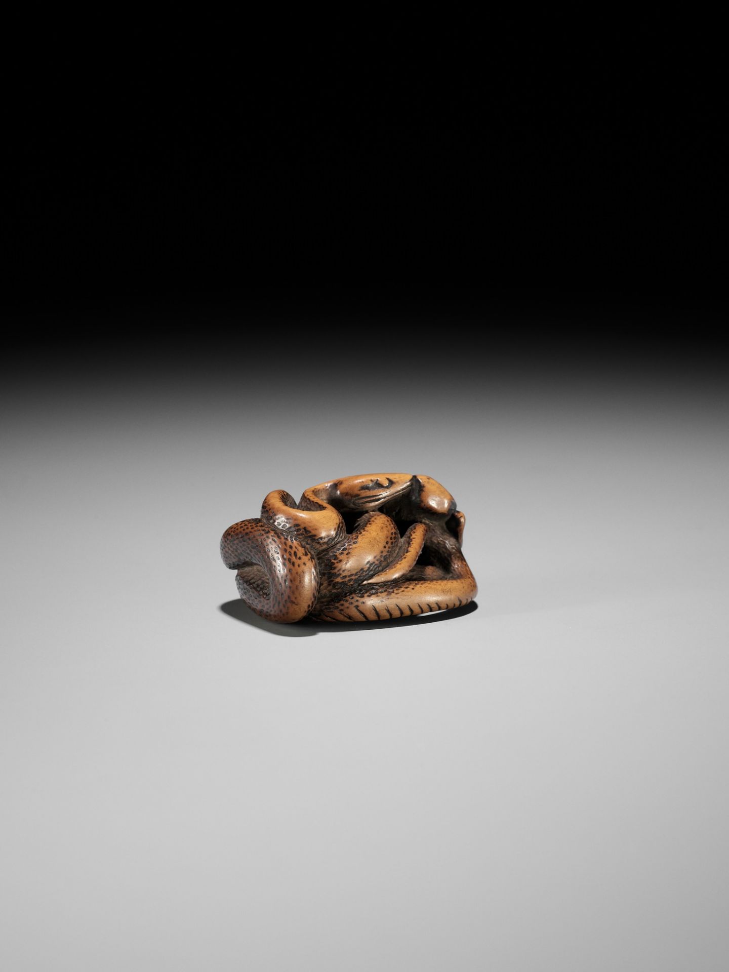 AN EARLY WOOD NETSUKE OF A SNAKE AND FROG - Image 9 of 12