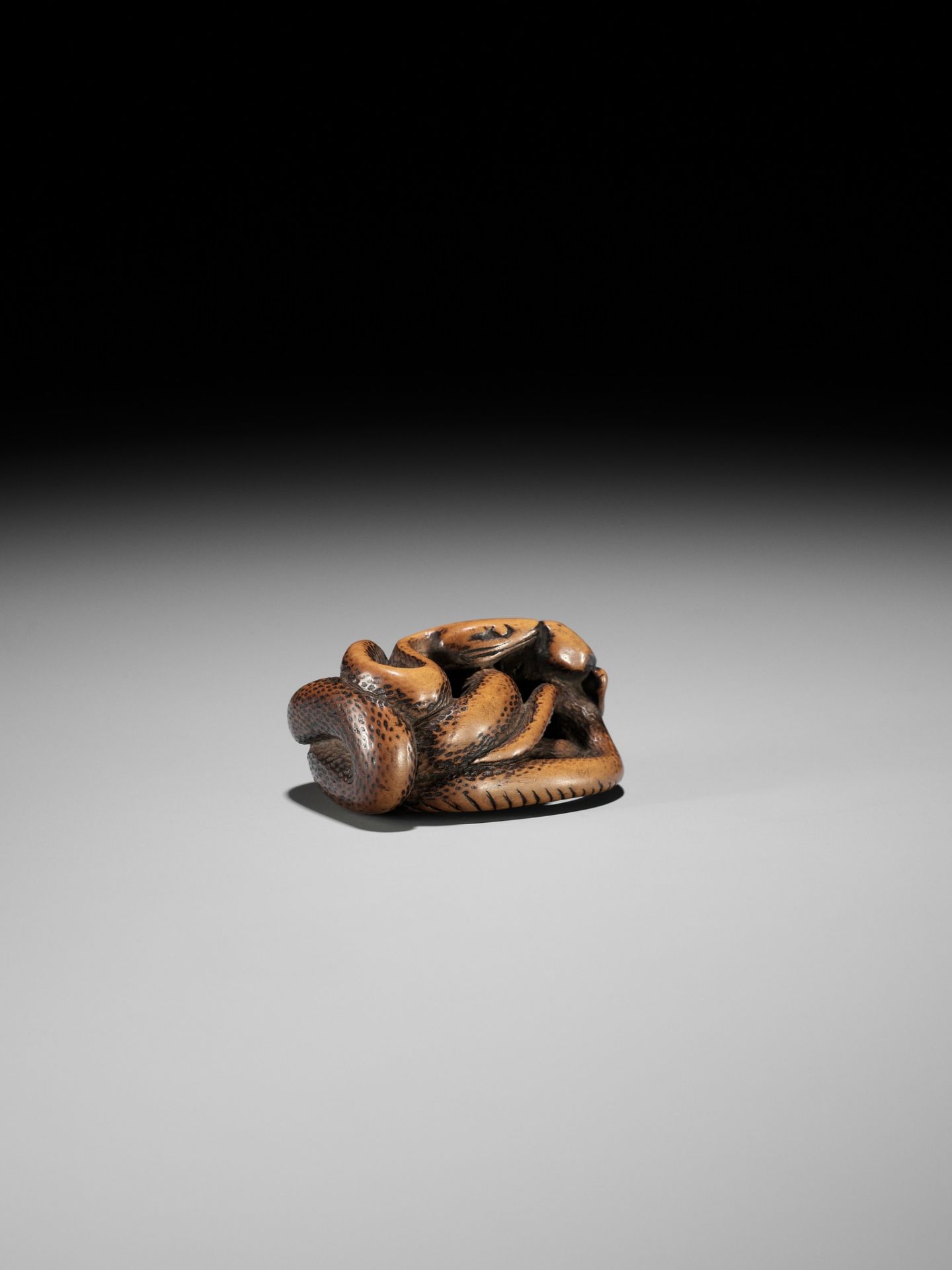 AN EARLY WOOD NETSUKE OF A SNAKE AND FROG - Bild 9 aus 12