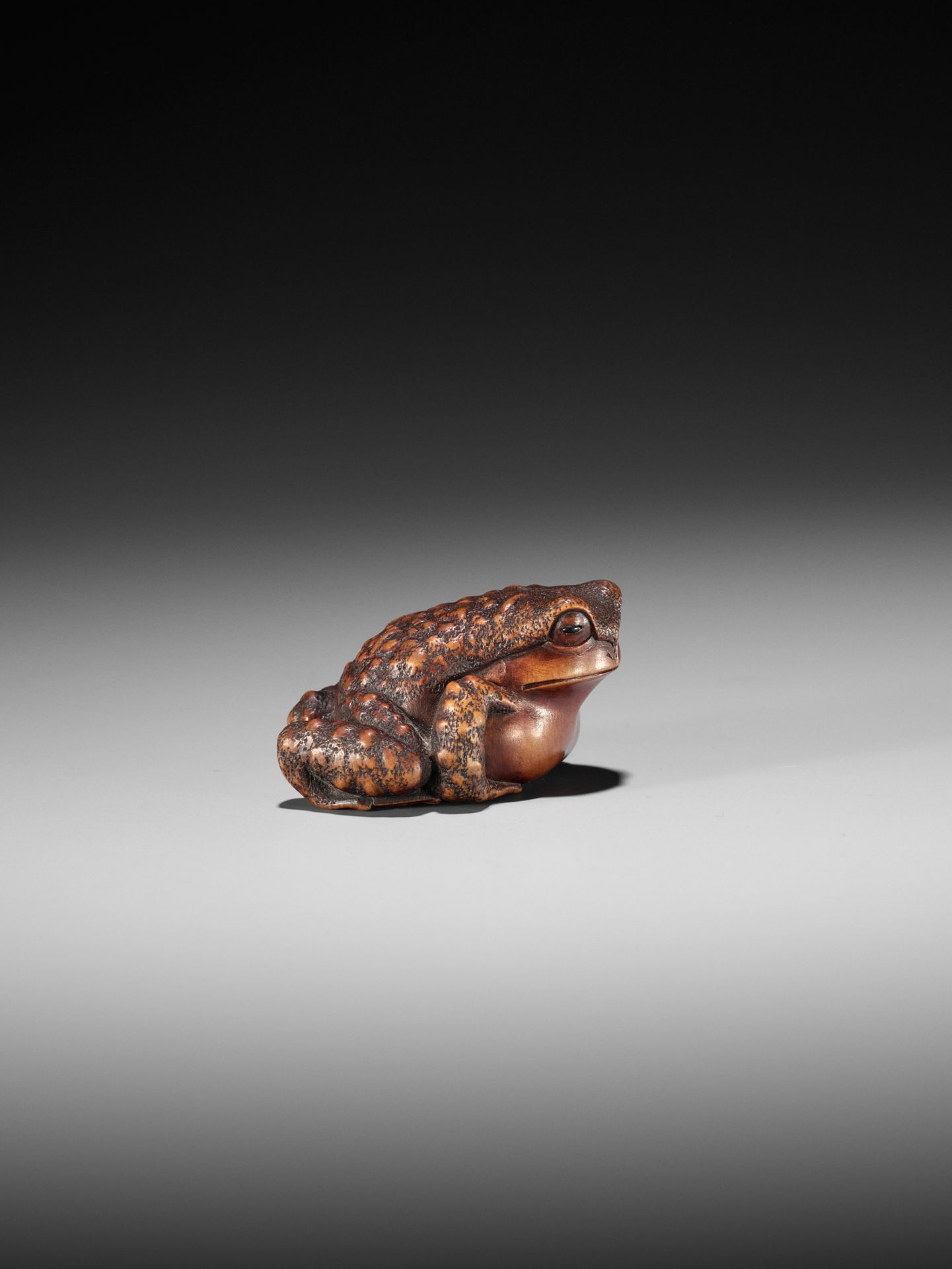 MASANAO: A WOOD NETSUKE OF A CROUCHING TOAD - Bild 11 aus 12