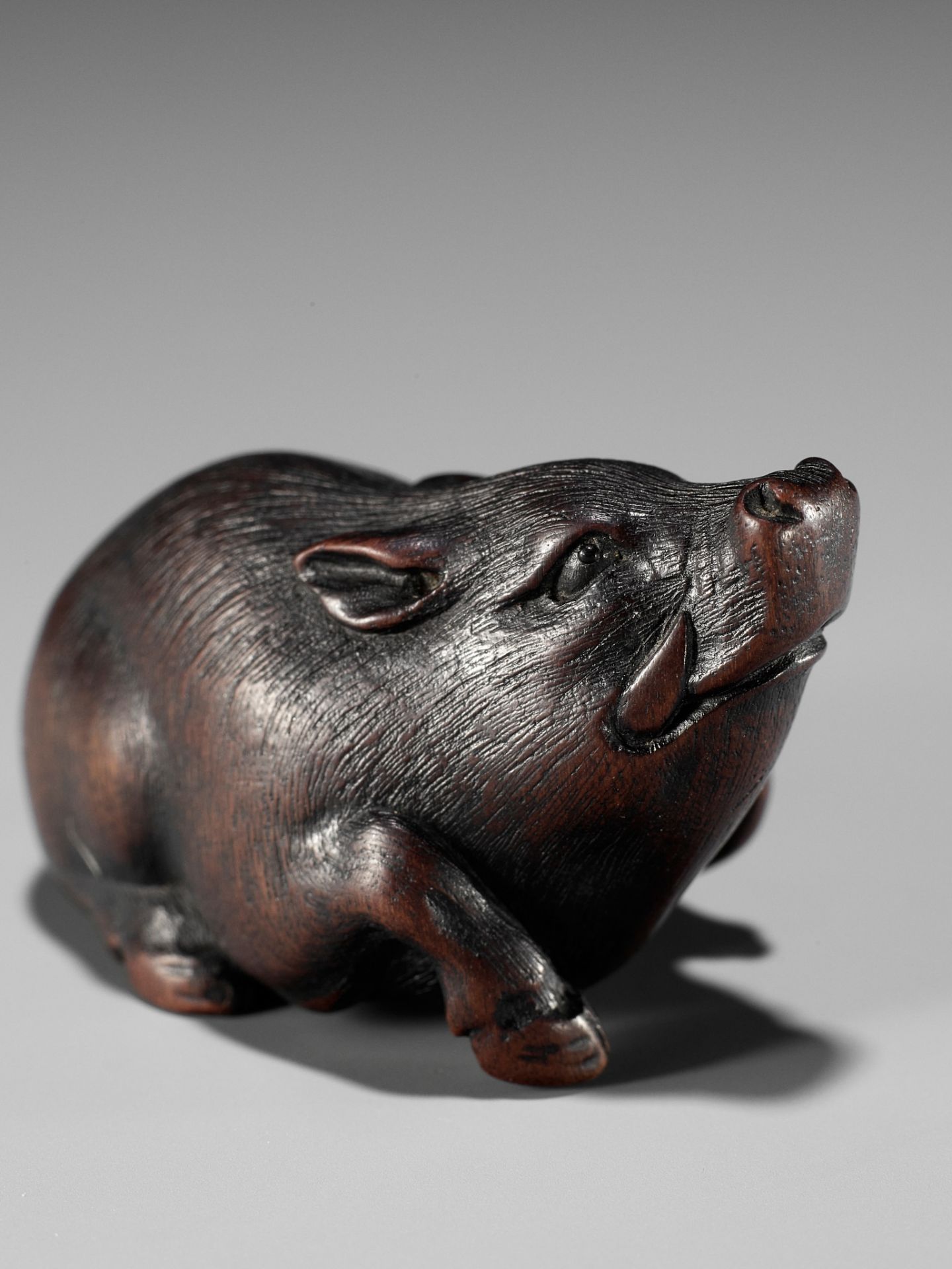 ITTAN: A SUPERB WOOD NETSUKE OF A WILD BOAR - Bild 4 aus 14