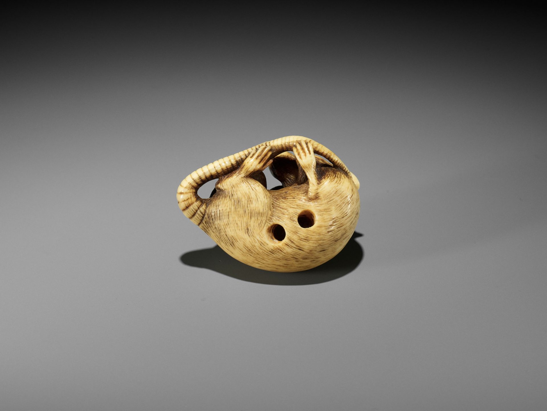 A FINE KYOTO SCHOOL IVORY NETSUKE OF A RAT - Bild 3 aus 11