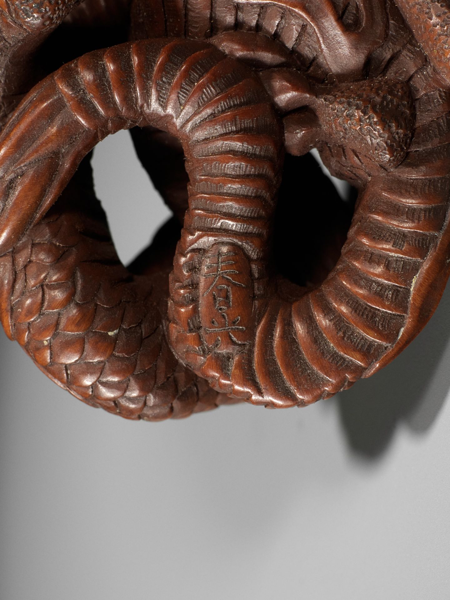 HARUMITSU: AN IMPRESSIVE WOOD NETSUKE OF A COILED DRAGON - Bild 12 aus 12