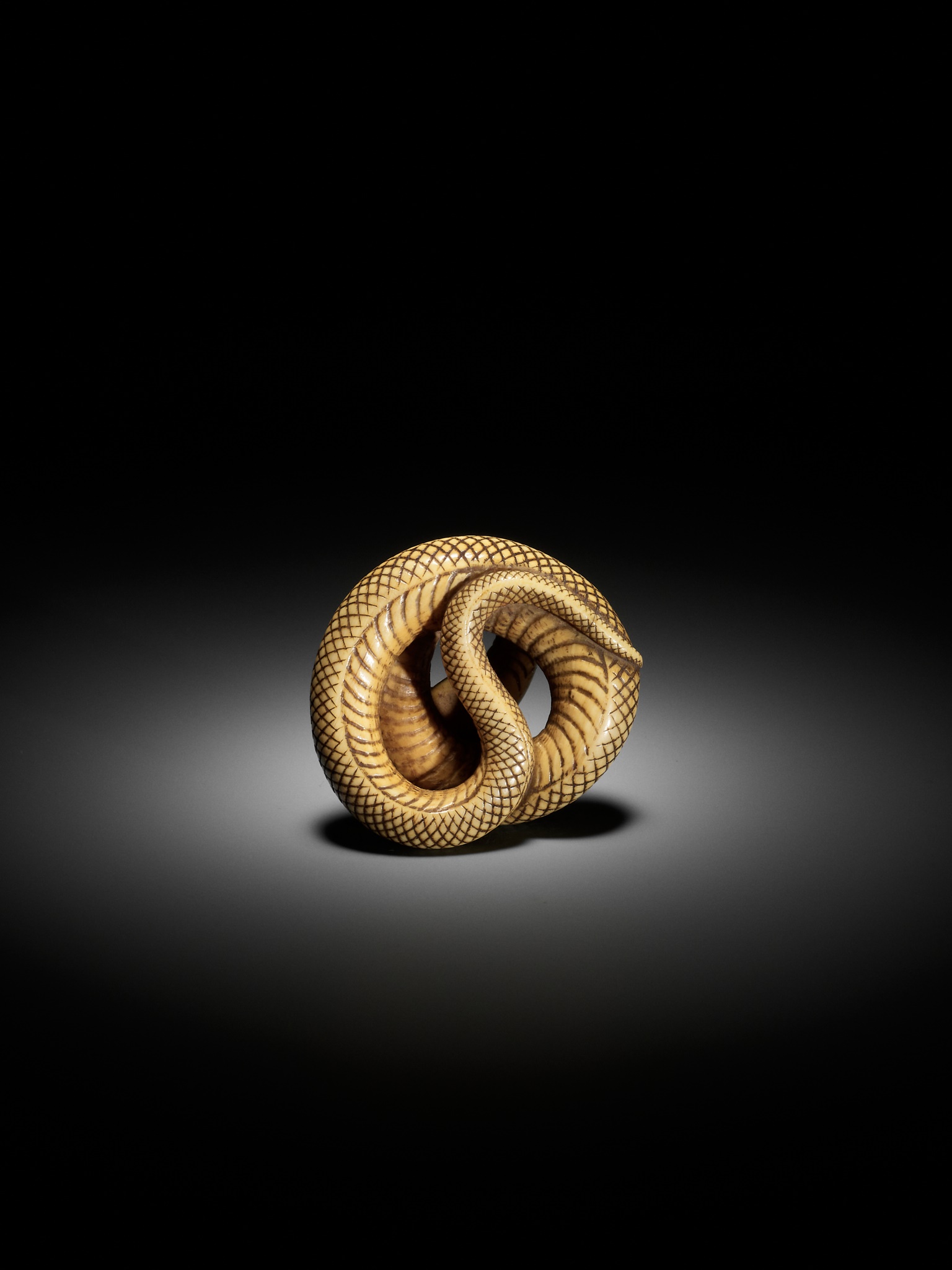 AN IVORY NETSUKE OF A COILED SNAKE, ATTRIBUTED TO OKATOMO - Image 3 of 16