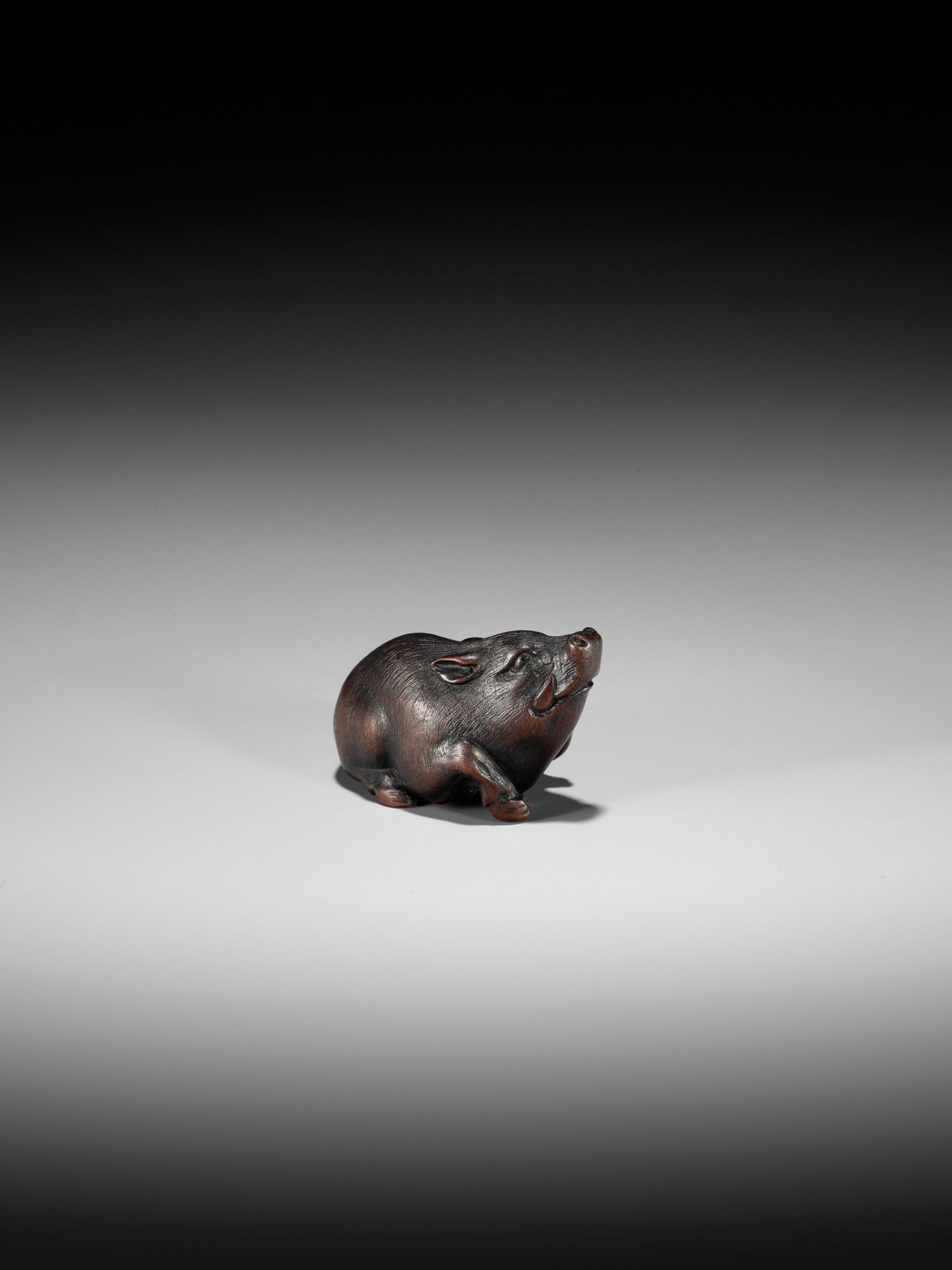 ITTAN: A SUPERB WOOD NETSUKE OF A WILD BOAR - Bild 11 aus 14