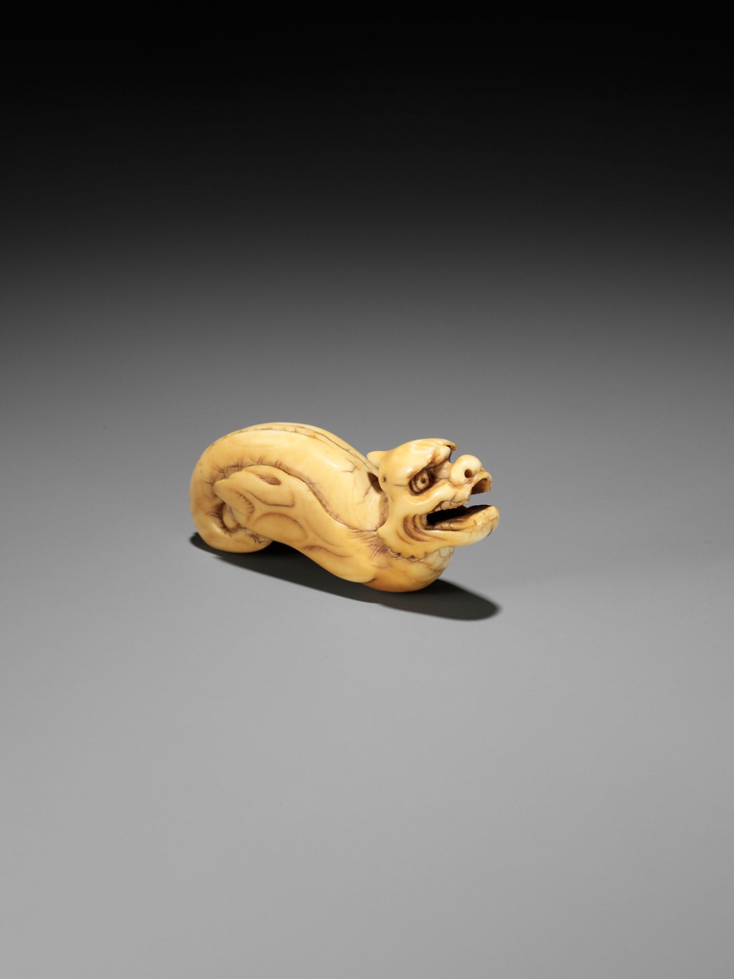 A RARE IVORY NETSUKE OF A WINGED DRAGON-FISH (MAKATSUGYO) - Image 6 of 13