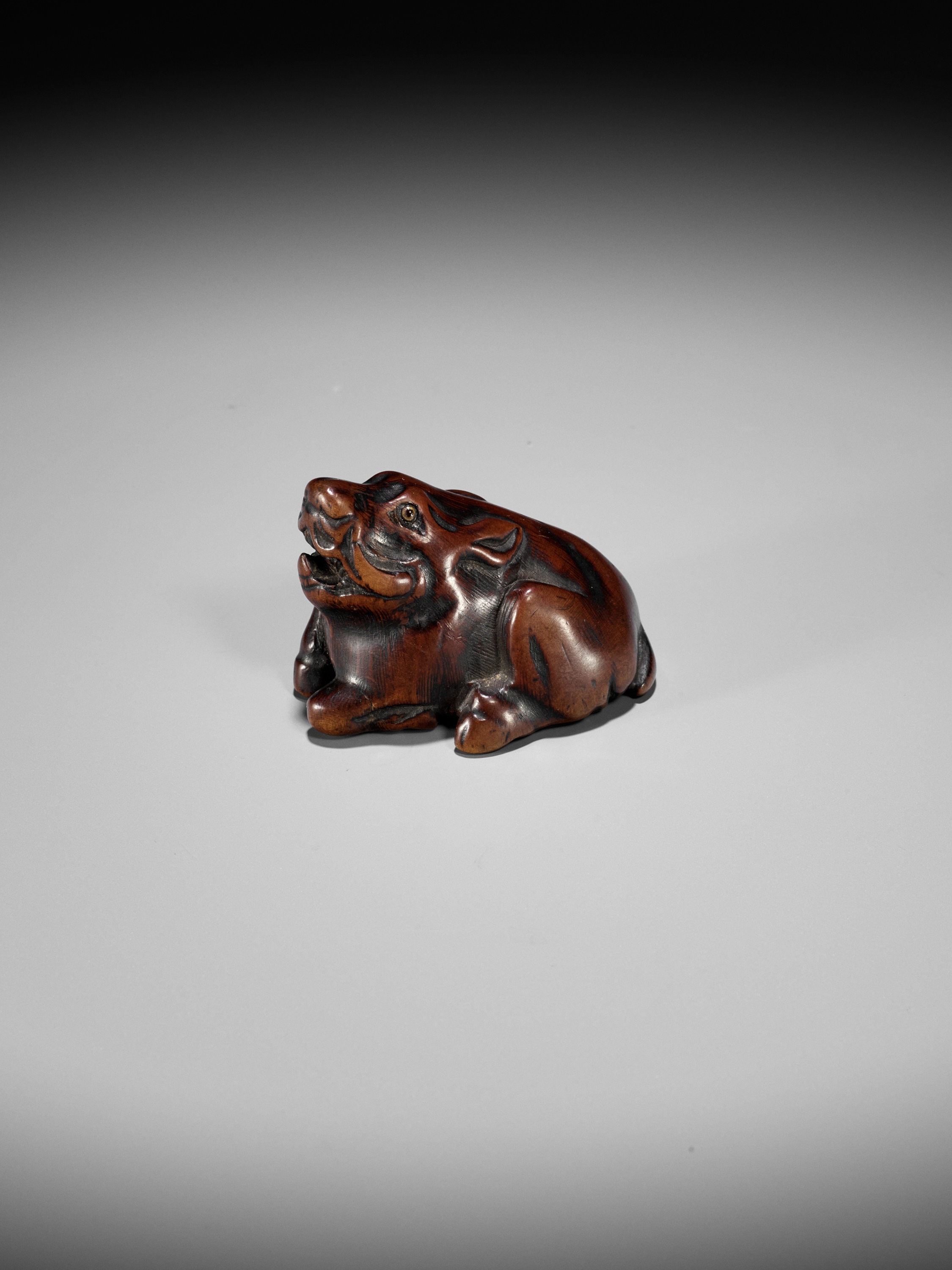 A FINE TANBA SCHOOL WOOD NETSUKE OF A RECUMBENT BOAR - Image 11 of 12