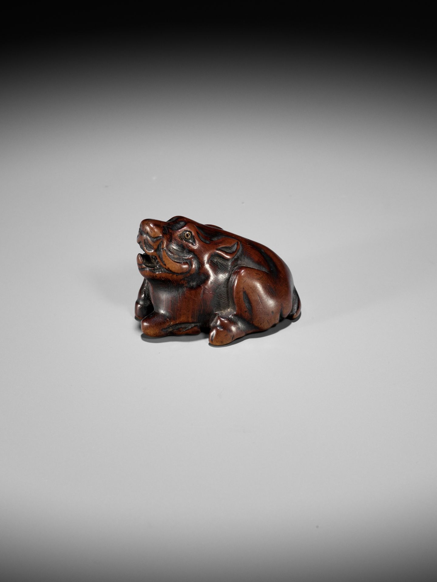 A FINE TANBA SCHOOL WOOD NETSUKE OF A RECUMBENT BOAR - Bild 11 aus 12