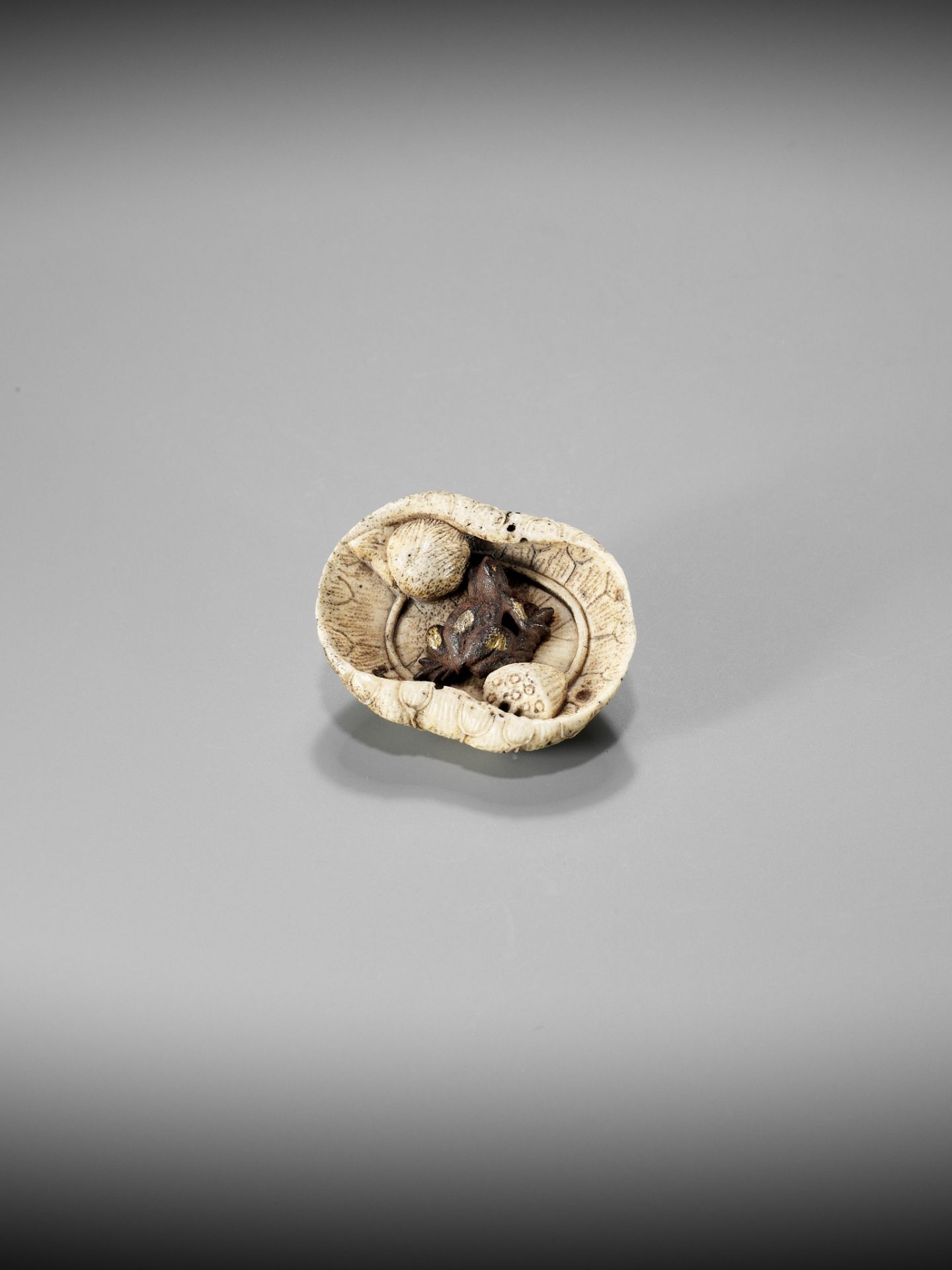 A RARE STAG ANTLER AND IRON NETSUKE DEPICTING A FROG ON A LOTUS LEAF - Image 8 of 8