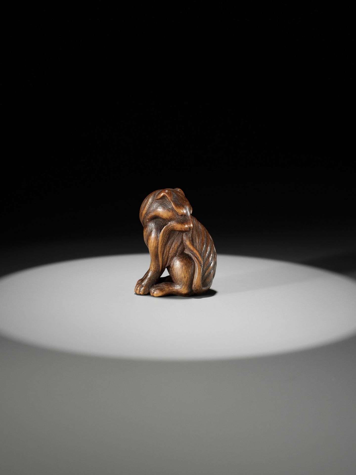 TADAKUNI: A SUPERB AND RARE WOOD NETSUKE OF A JAKONEKO (MUSK CAT) - Bild 2 aus 19