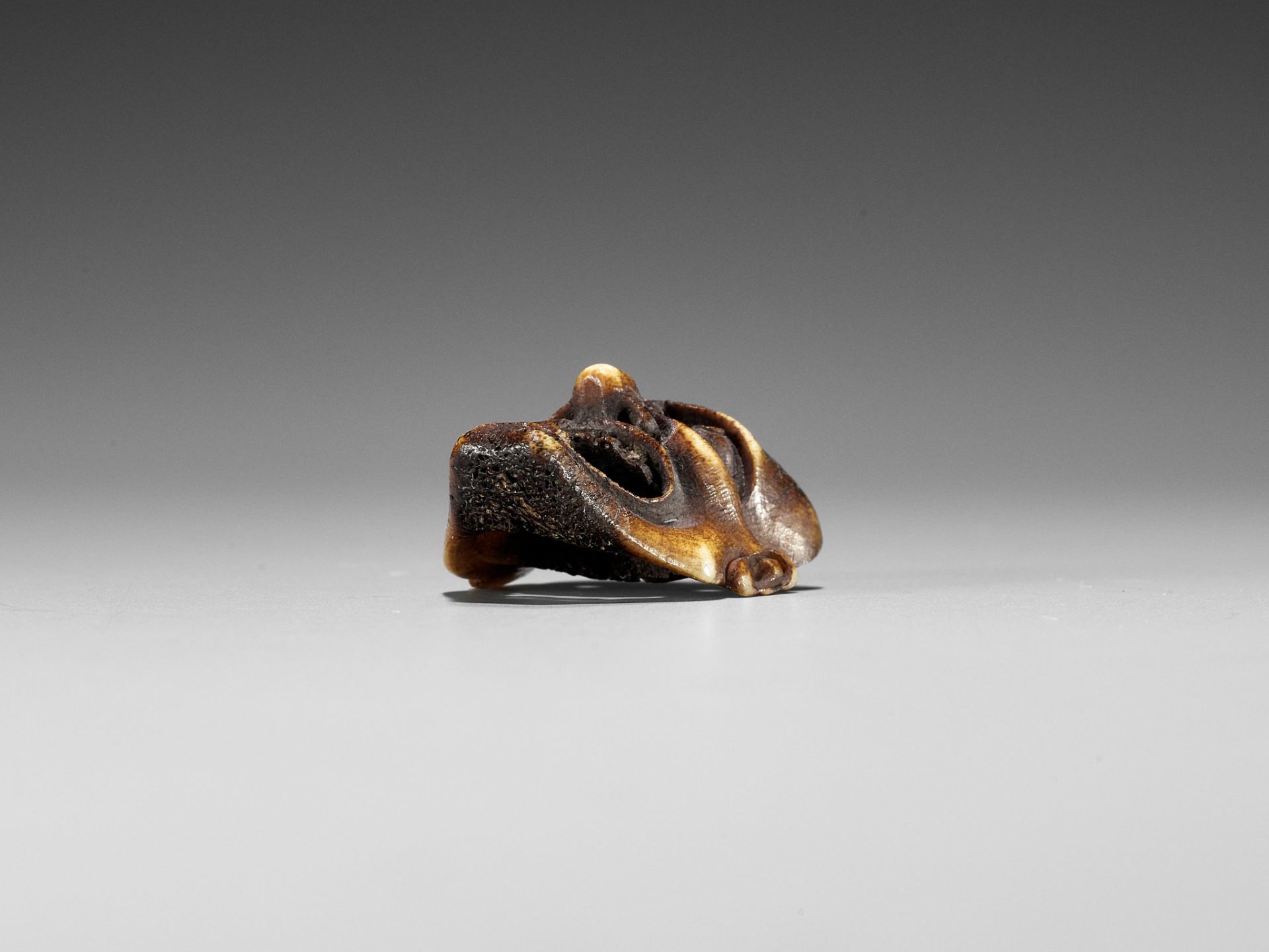 A SUPERB STAG ANTLER MASK NETSUKE OF HANNYA - Image 10 of 10