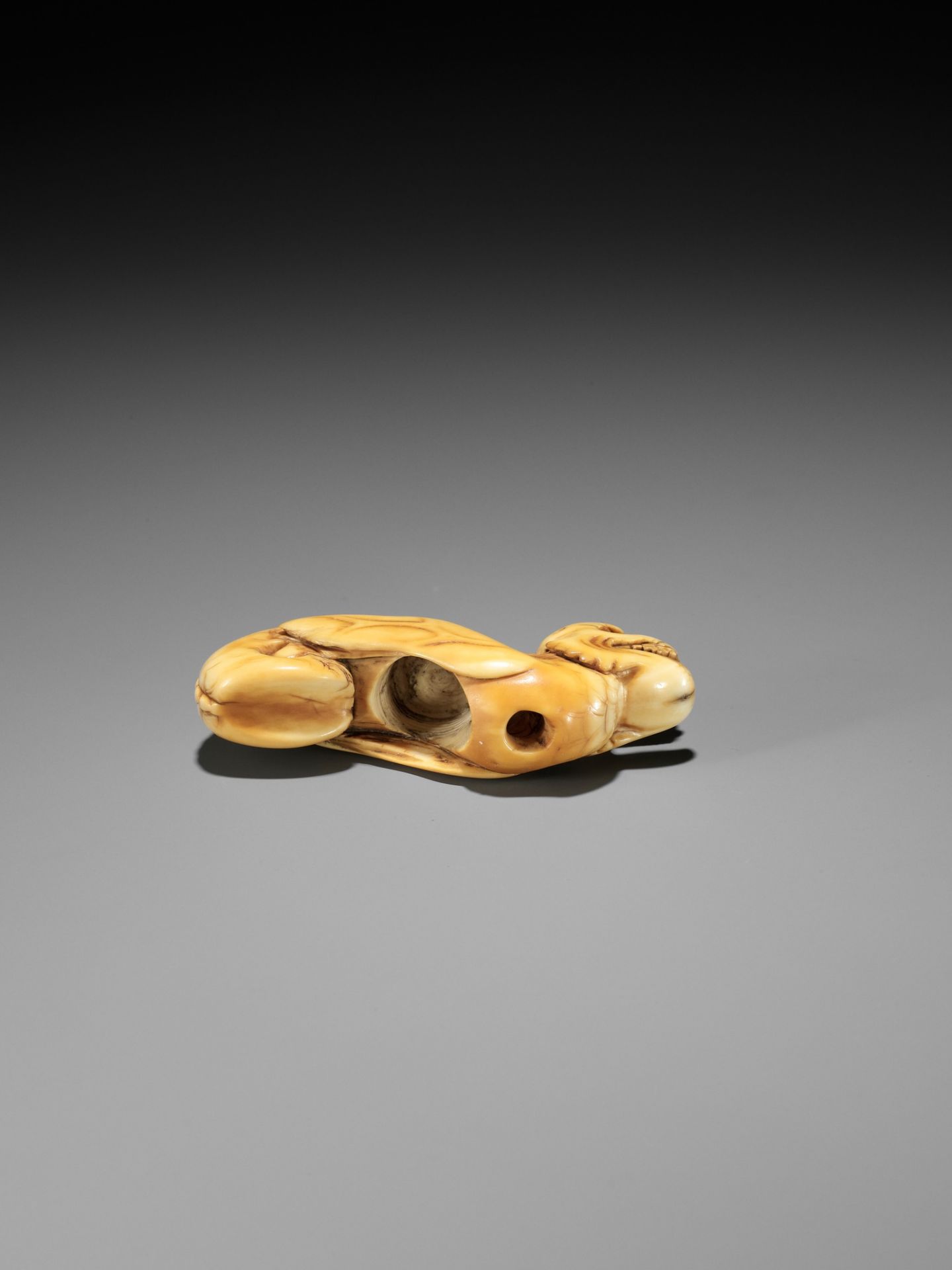 A RARE IVORY NETSUKE OF A WINGED DRAGON-FISH (MAKATSUGYO) - Image 12 of 13