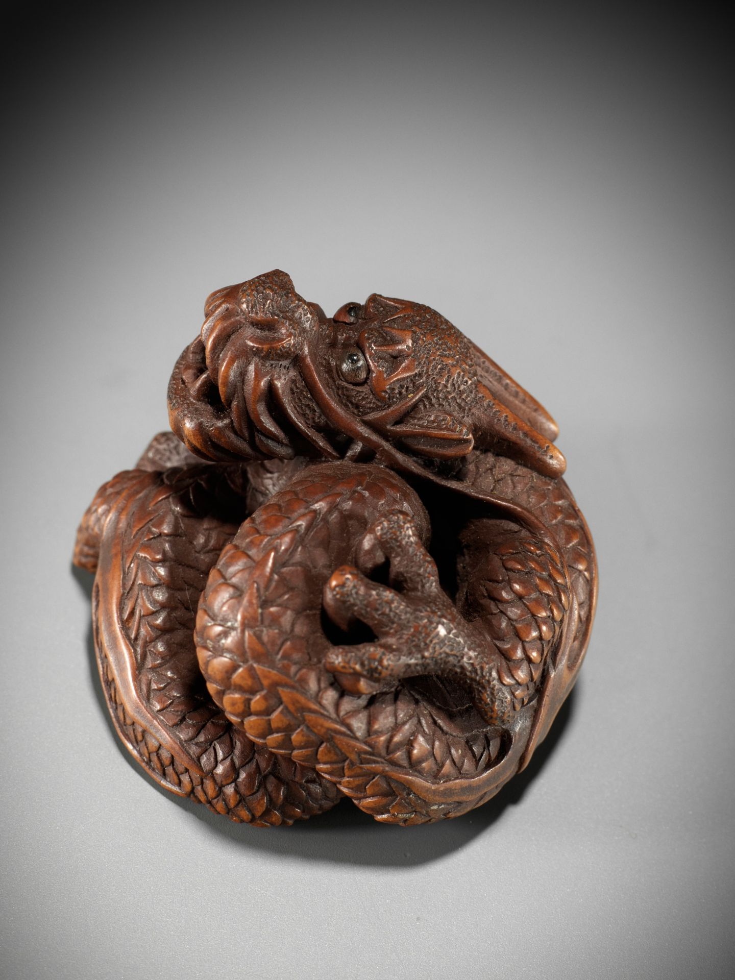 HARUMITSU: AN IMPRESSIVE WOOD NETSUKE OF A COILED DRAGON - Bild 3 aus 12