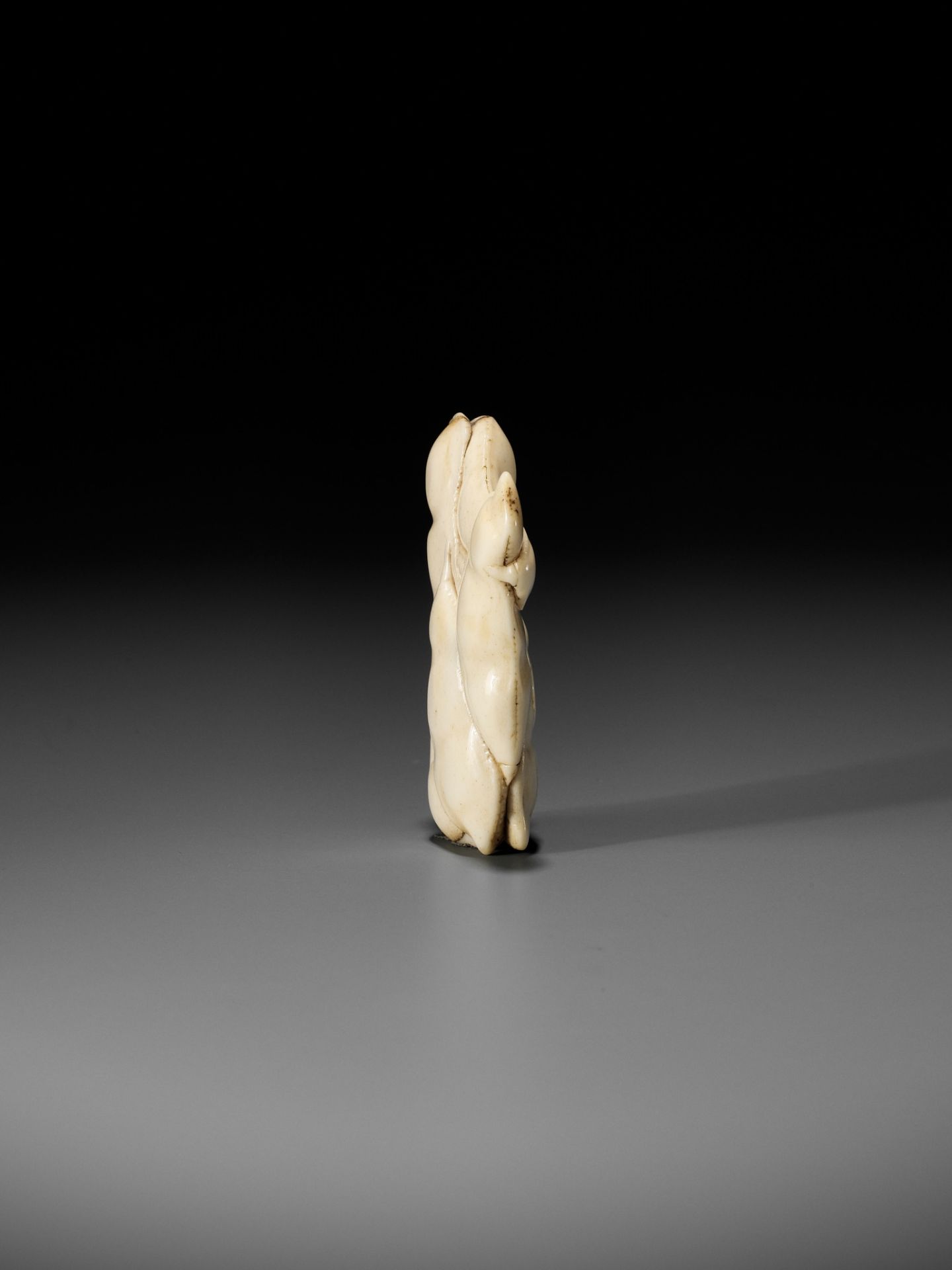 A SUPERB STAG ANTLER NETSUKE OF EDAMAME BEAN-PODS - Image 8 of 9