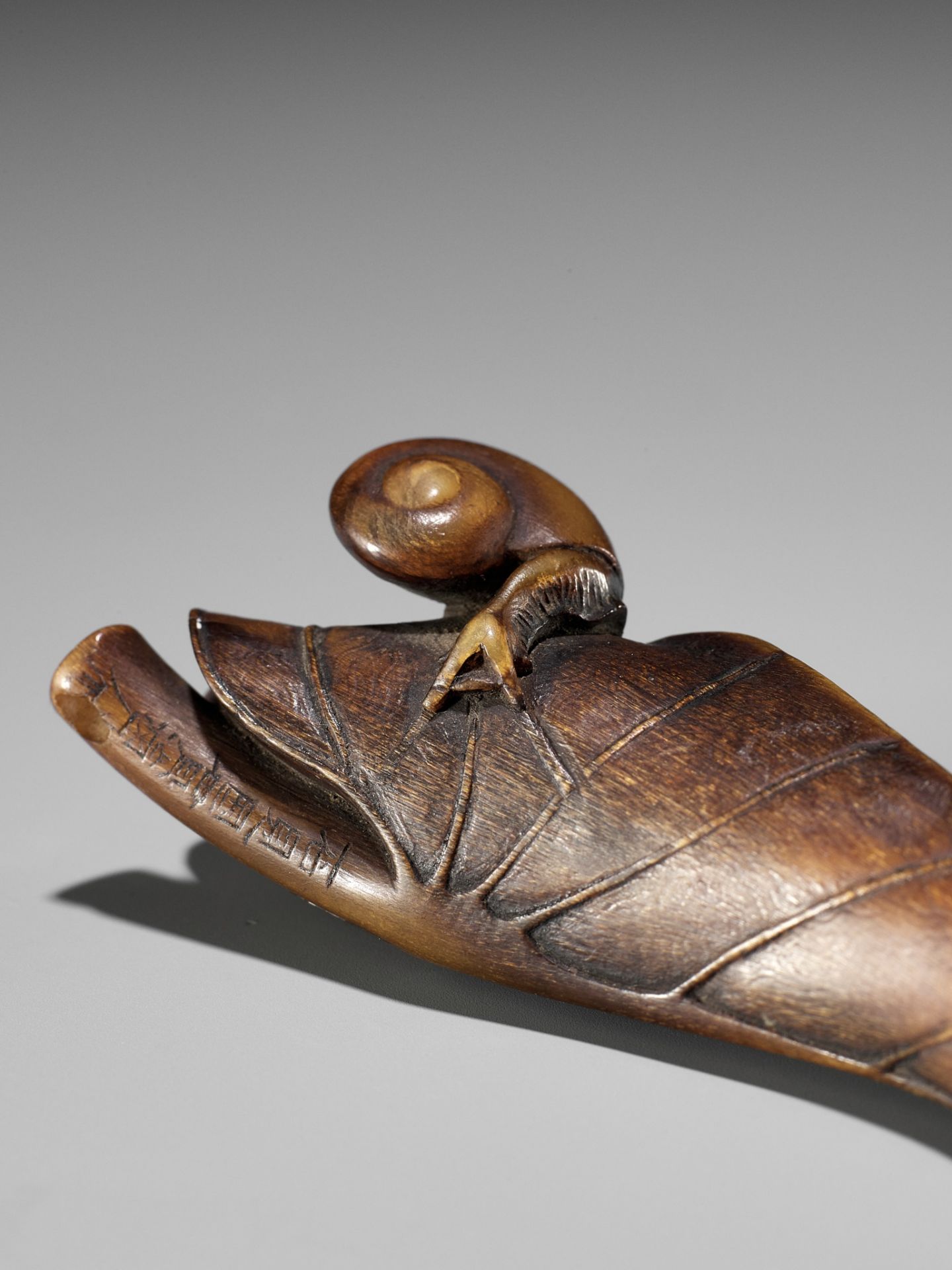 KANMAN: A RARE BUFFALO HORN NETSUKE OF A SNAIL ON A TARO LEAF - Bild 14 aus 15