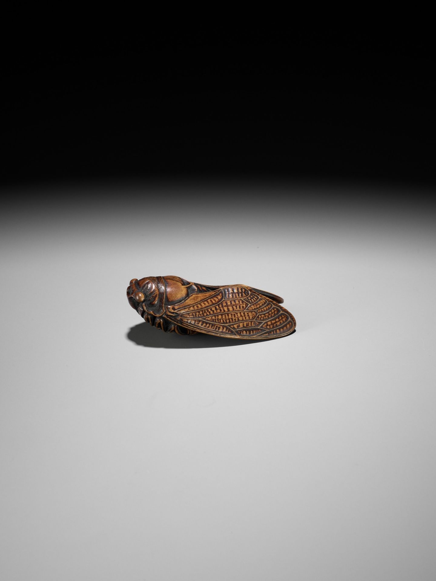 JUGYOKU: A FINE WOOD NETSUKE OF A CICADA - Image 7 of 11