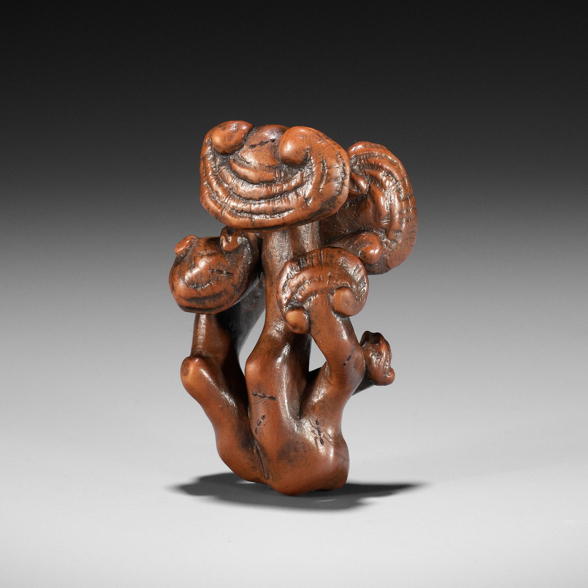 ZESHIN: A WOOD NETSUKE OF A REISHI FUNGUS WITH LACQUERED ANTS