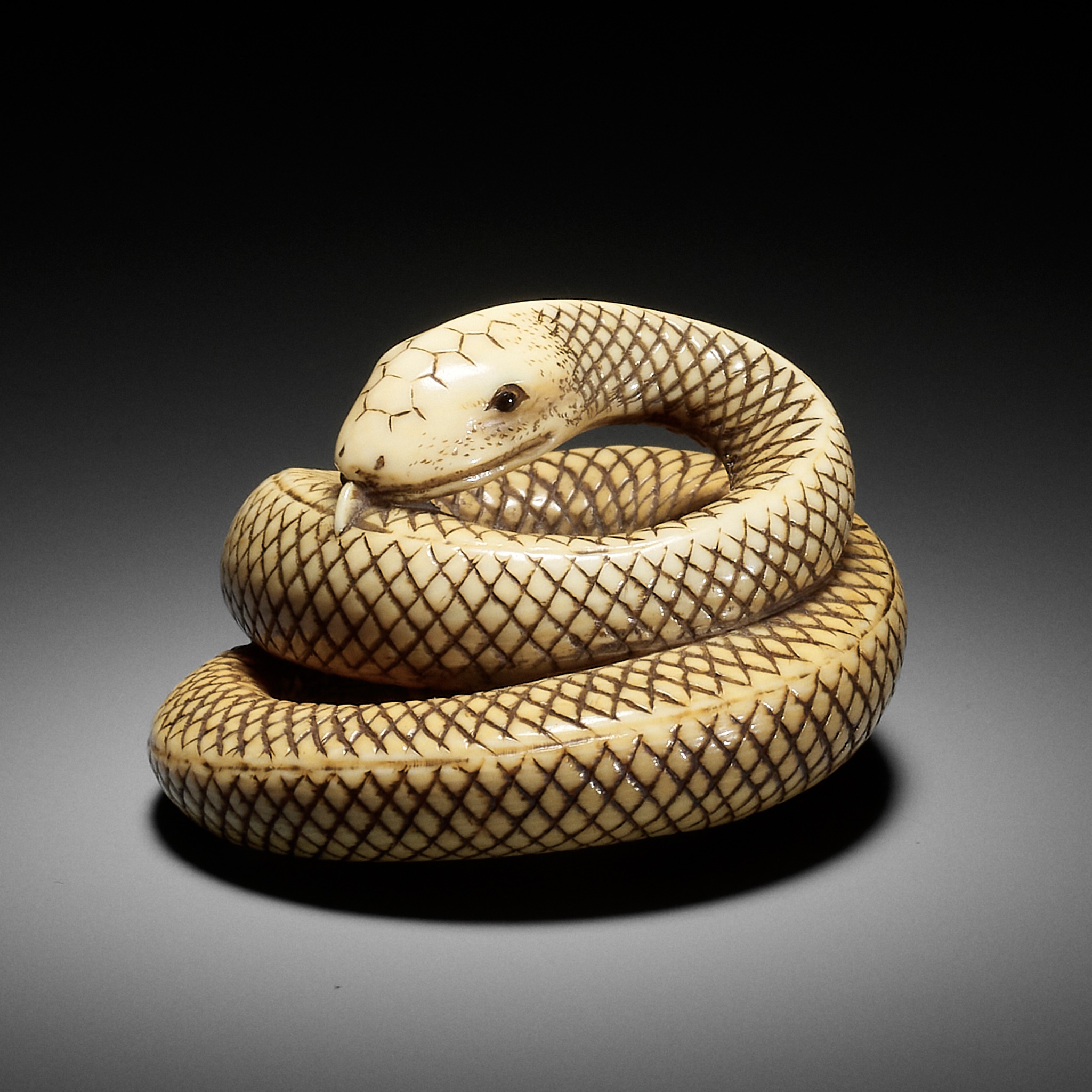 AN IVORY NETSUKE OF A COILED SNAKE, ATTRIBUTED TO OKATOMO