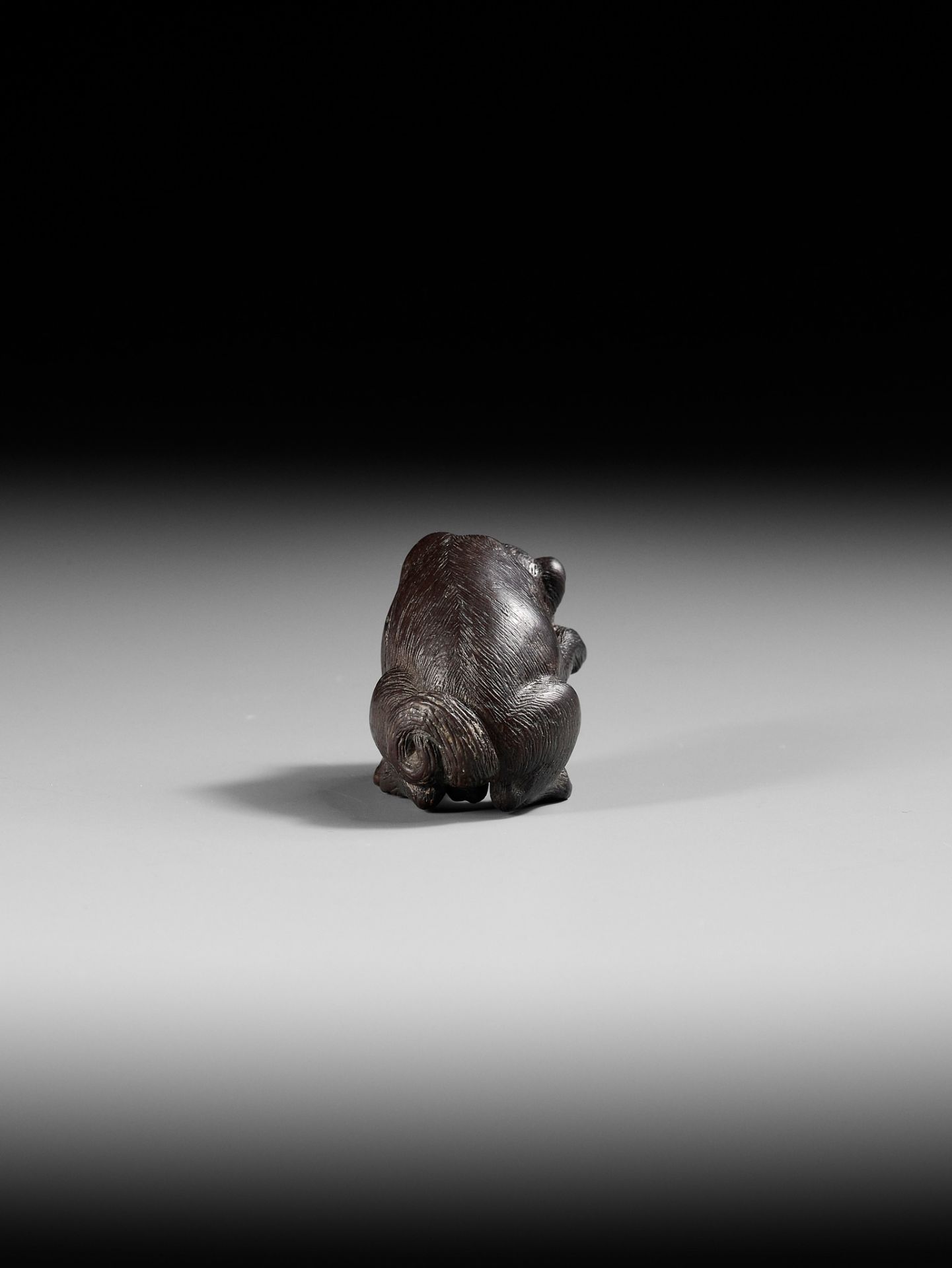 A RARE DARK WOOD NETSUKE OF A DOG SCRATCHING ITS JOWL - Bild 8 aus 10