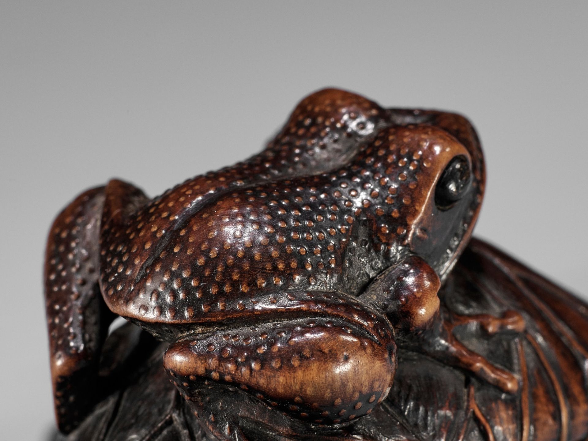 A FINE WOOD NETSUKE OF A TOAD ON A LOTUS LEAF