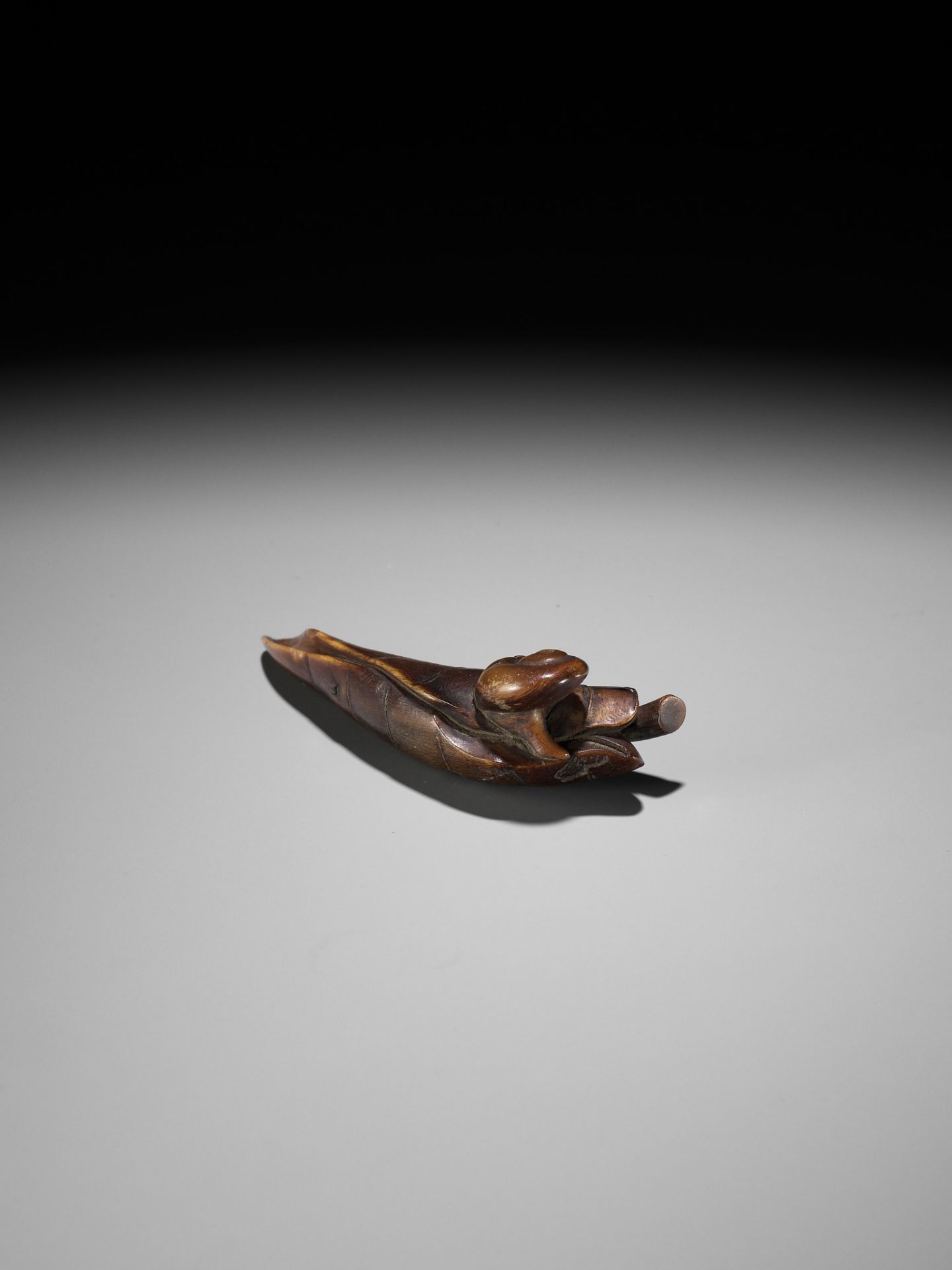 KANMAN: A RARE BUFFALO HORN NETSUKE OF A SNAIL ON A TARO LEAF - Bild 8 aus 15