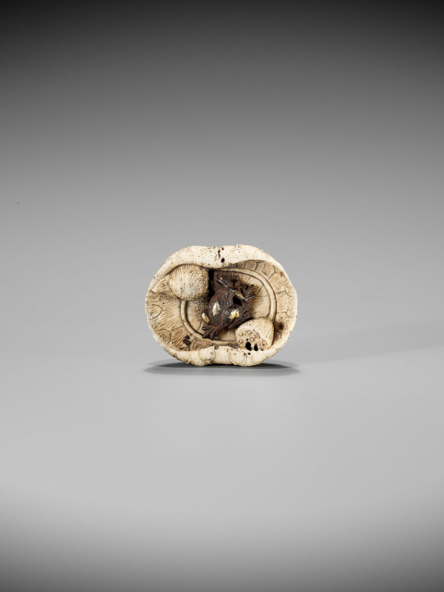 A RARE STAG ANTLER AND IRON NETSUKE DEPICTING A FROG ON A LOTUS LEAF - Image 5 of 8