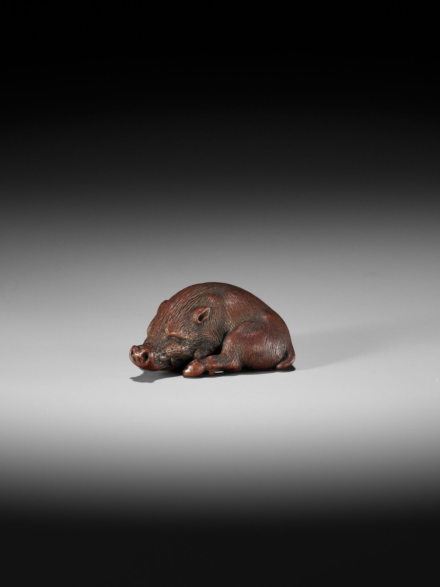 ITTAN: A SUPERB WOOD NETSUKE OF A LONG-SNOUTED WILD BOAR - Bild 3 aus 16