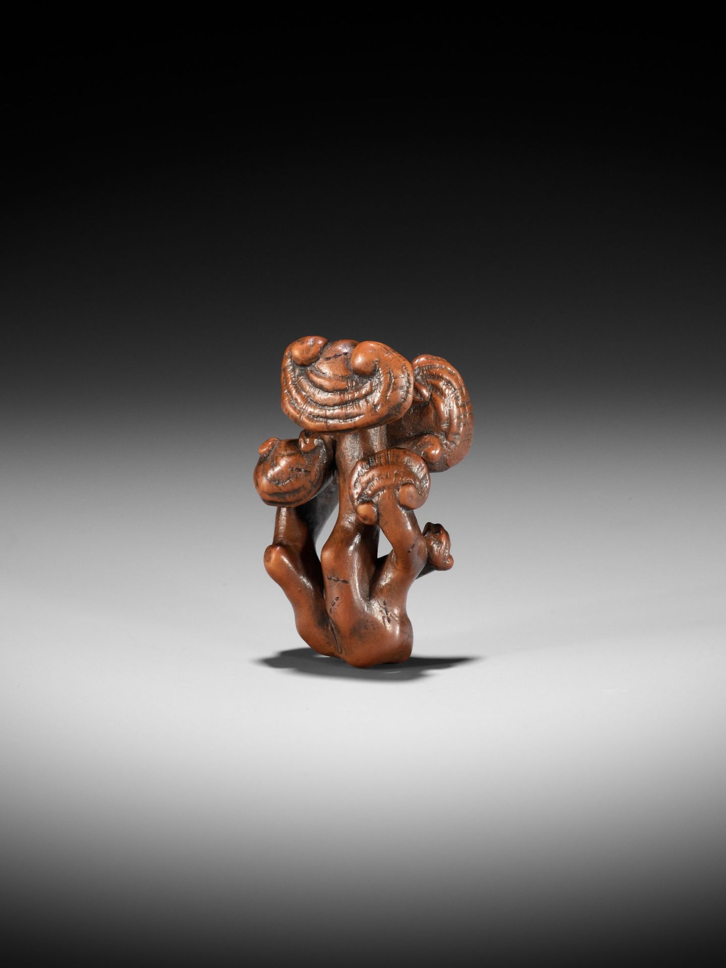 ZESHIN: A WOOD NETSUKE OF A REISHI FUNGUS WITH LACQUERED ANTS - Bild 10 aus 12