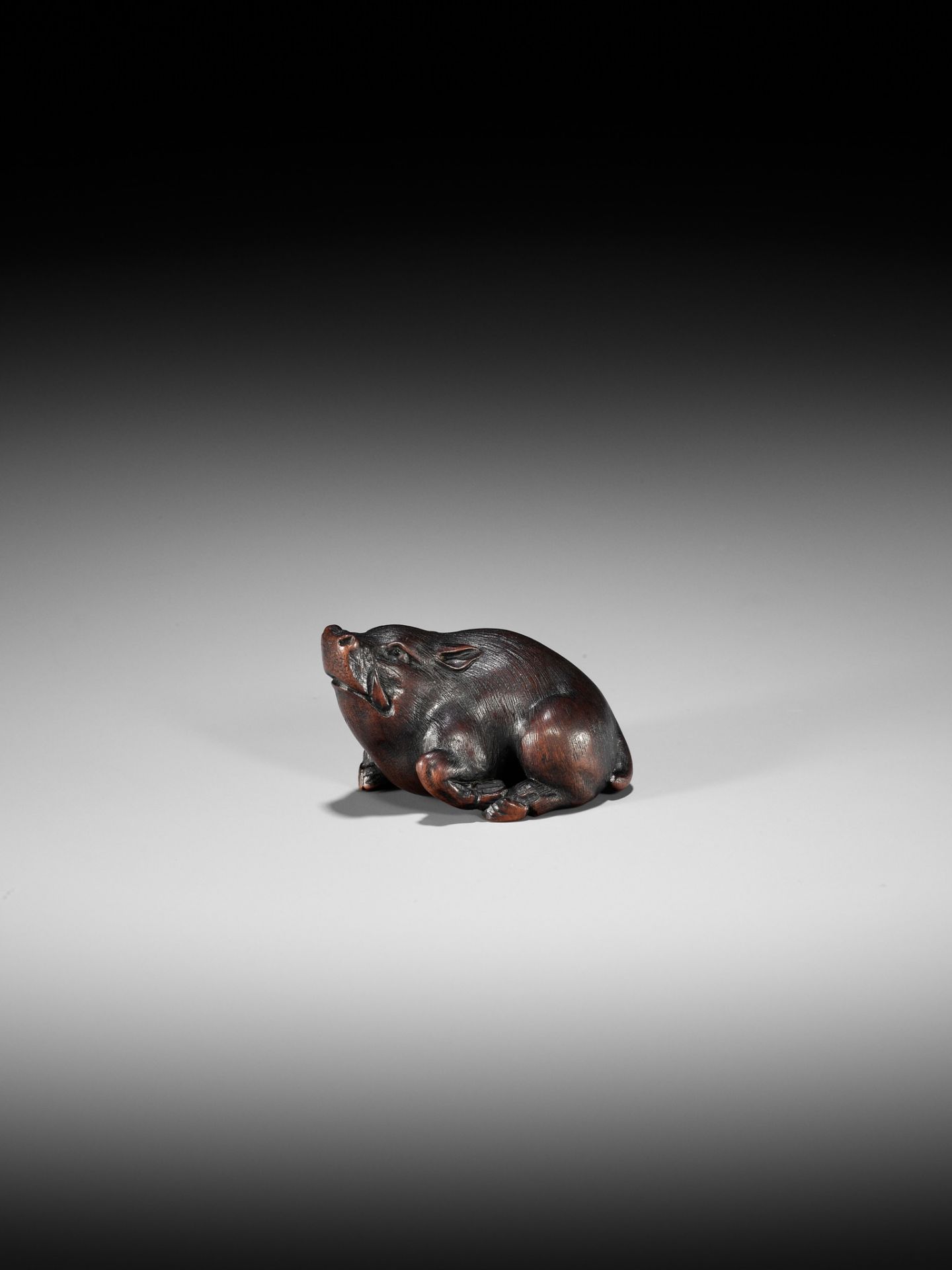 ITTAN: A SUPERB WOOD NETSUKE OF A WILD BOAR - Bild 2 aus 14