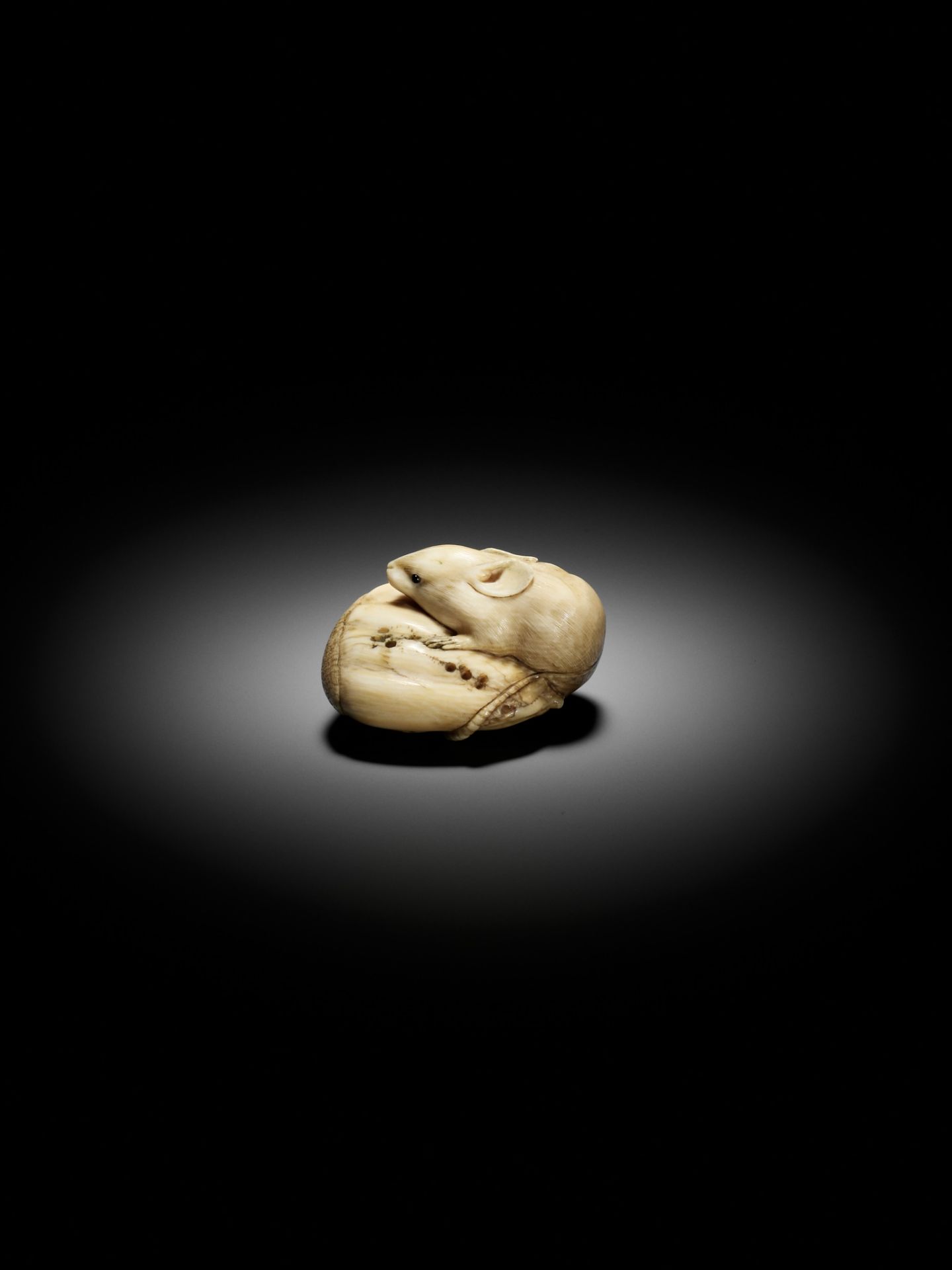 MASATAMI: A VERY FINE IVORY NETSUKE OF A RAT ON CHESTNUT - Image 2 of 12