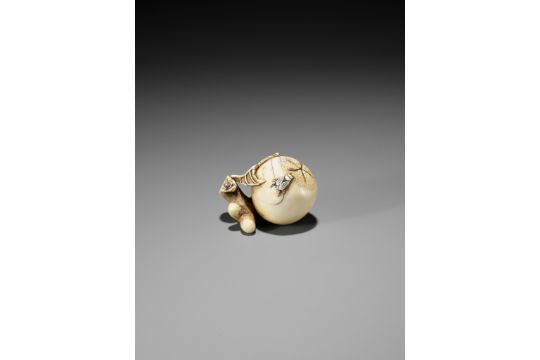 MITSUHIRO: AN IVORY NETSUKE OF A FLY ON A BIWA (LOQUAT) - Image 2 of 11