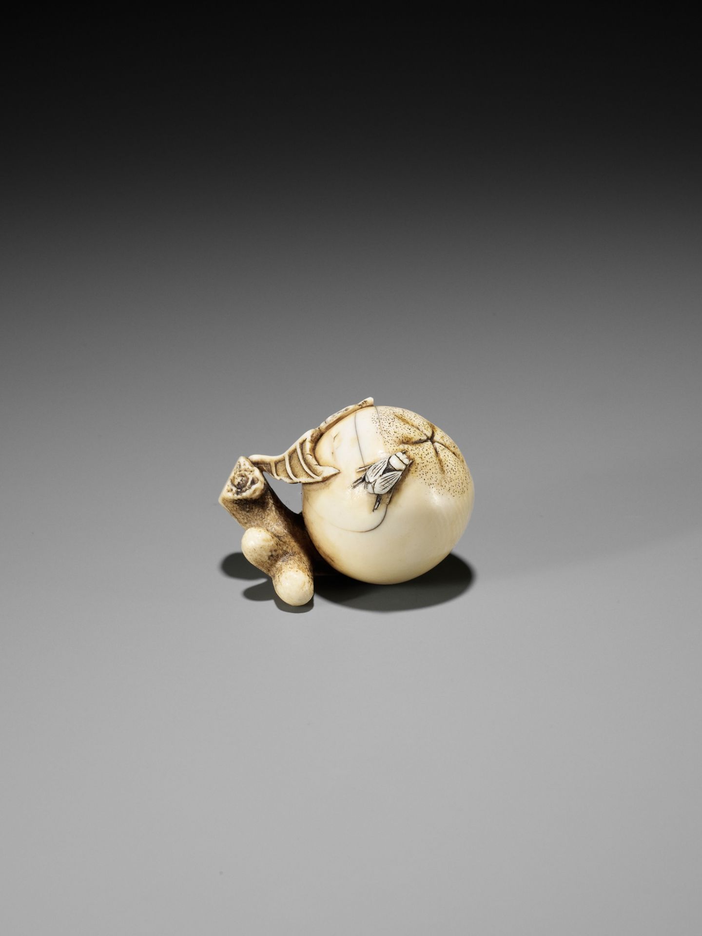 MITSUHIRO: AN IVORY NETSUKE OF A FLY ON A BIWA (LOQUAT) - Bild 2 aus 11