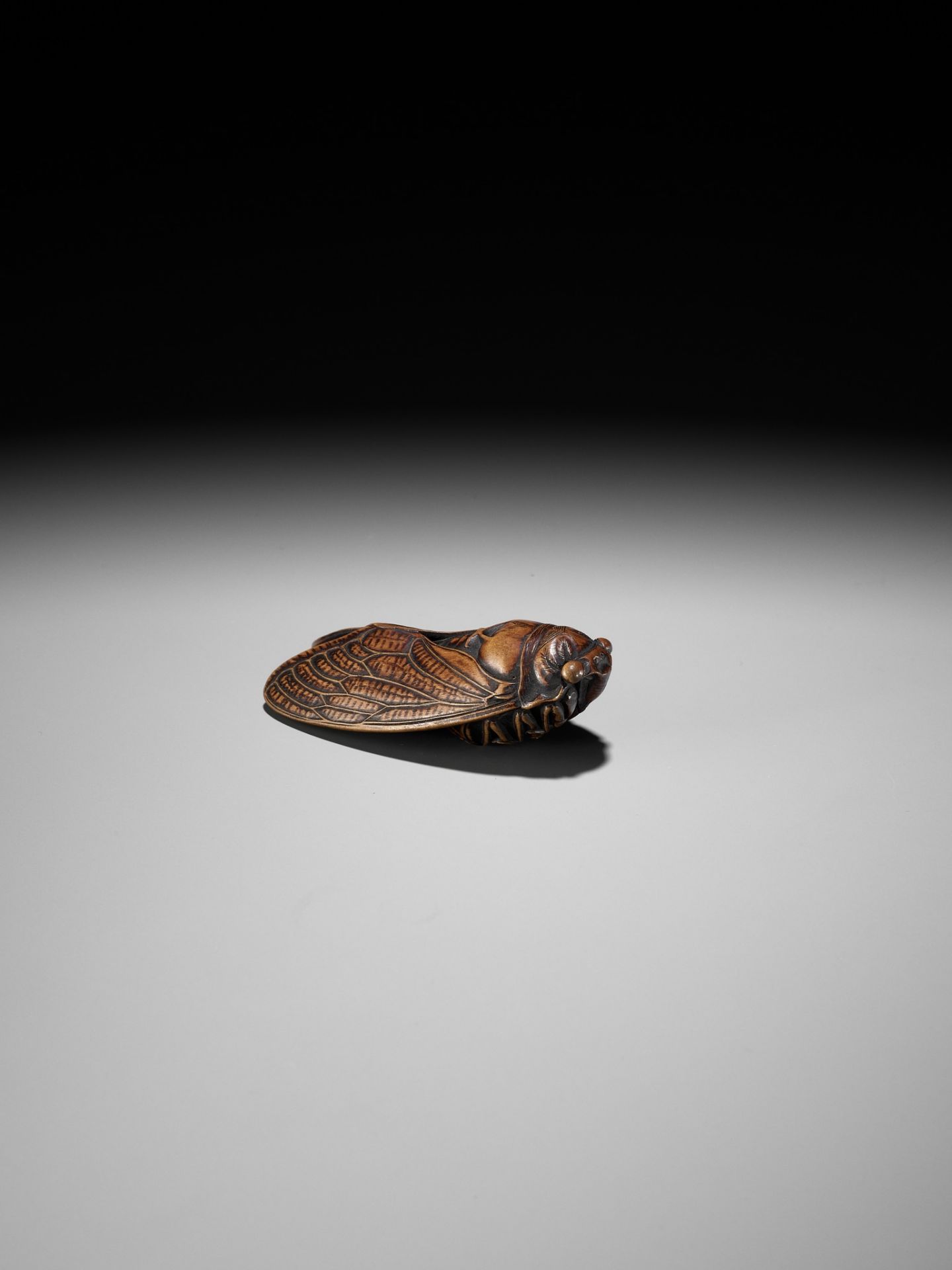 JUGYOKU: A FINE WOOD NETSUKE OF A CICADA - Image 3 of 11