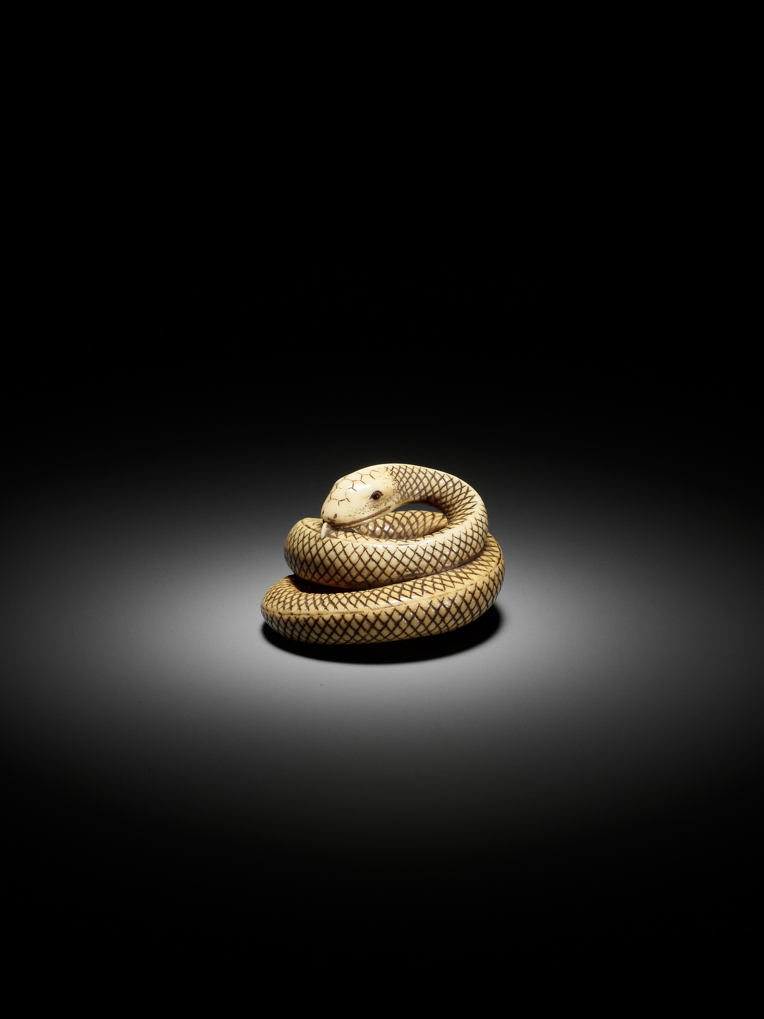 AN IVORY NETSUKE OF A COILED SNAKE, ATTRIBUTED TO OKATOMO - Image 7 of 16