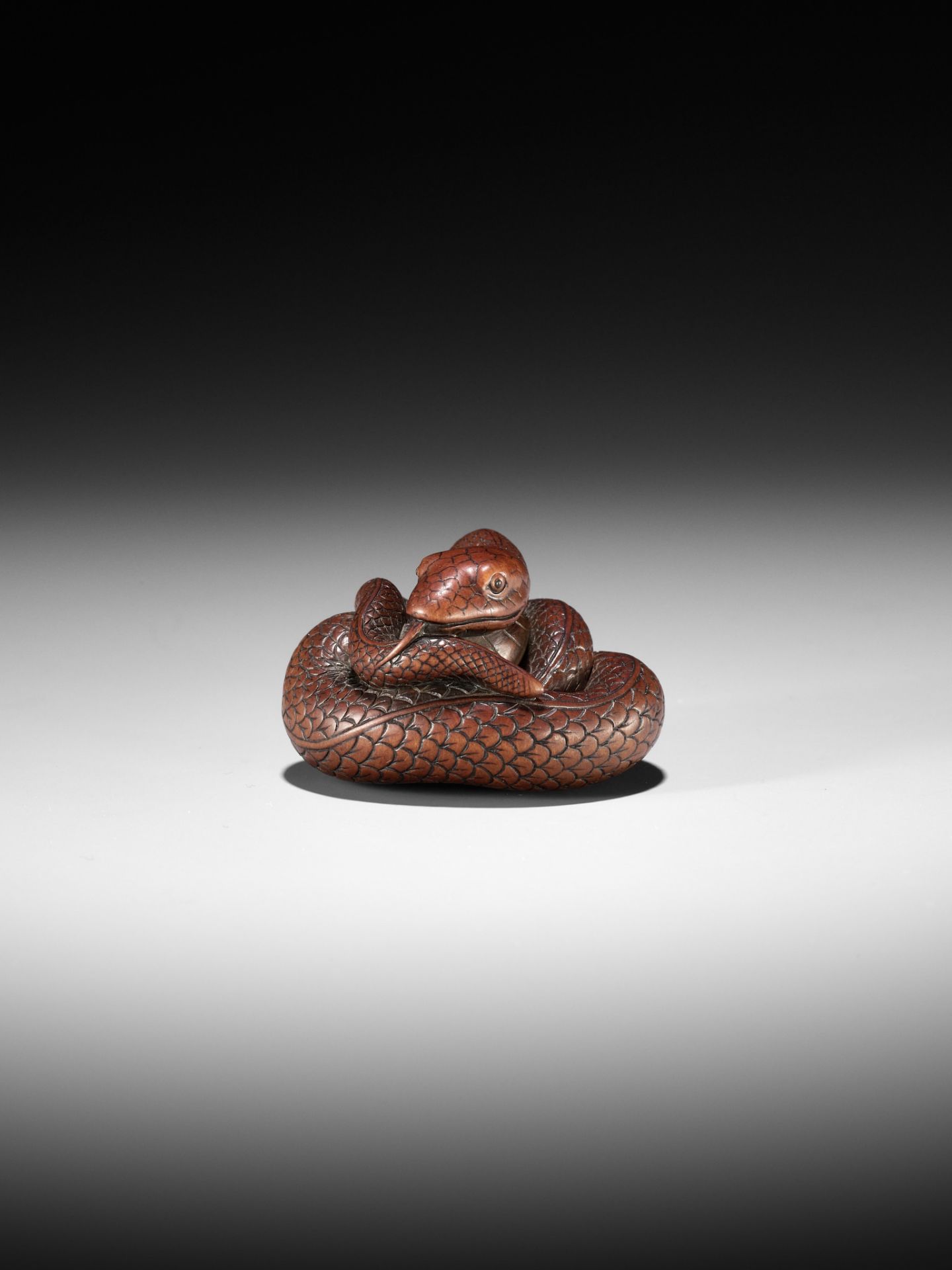 AN EXCEPTIONAL AND LARGE WOOD NETSUKE OF A SNAKE, ATTRIBUTED TO OKATOMO - Image 17 of 19