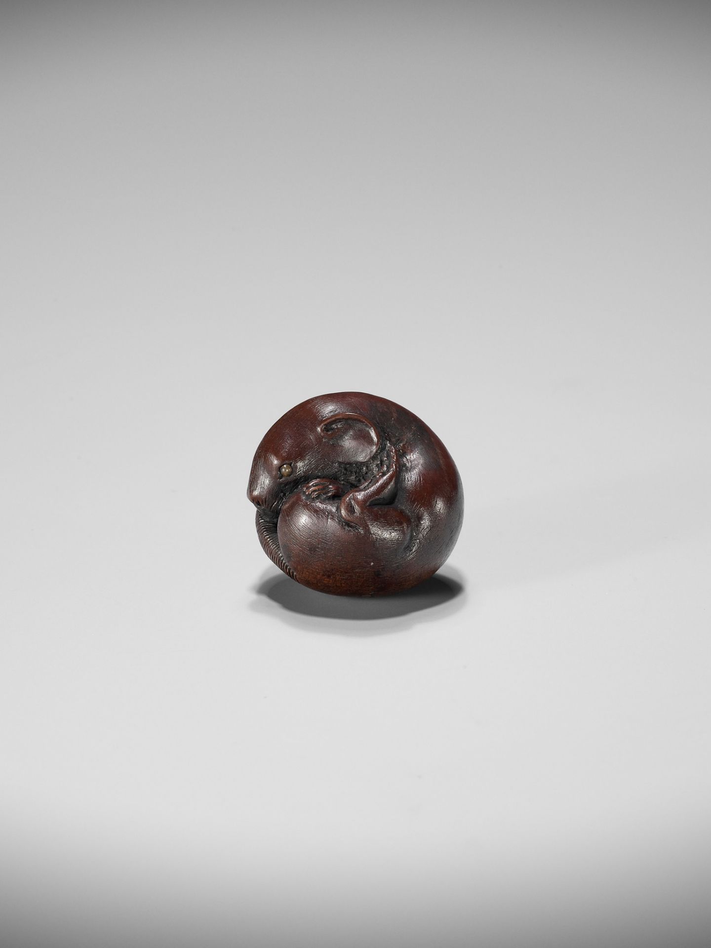 YOSHIHISA: A FINE WOOD NETSUKE OF A COILED RAT - Bild 6 aus 11