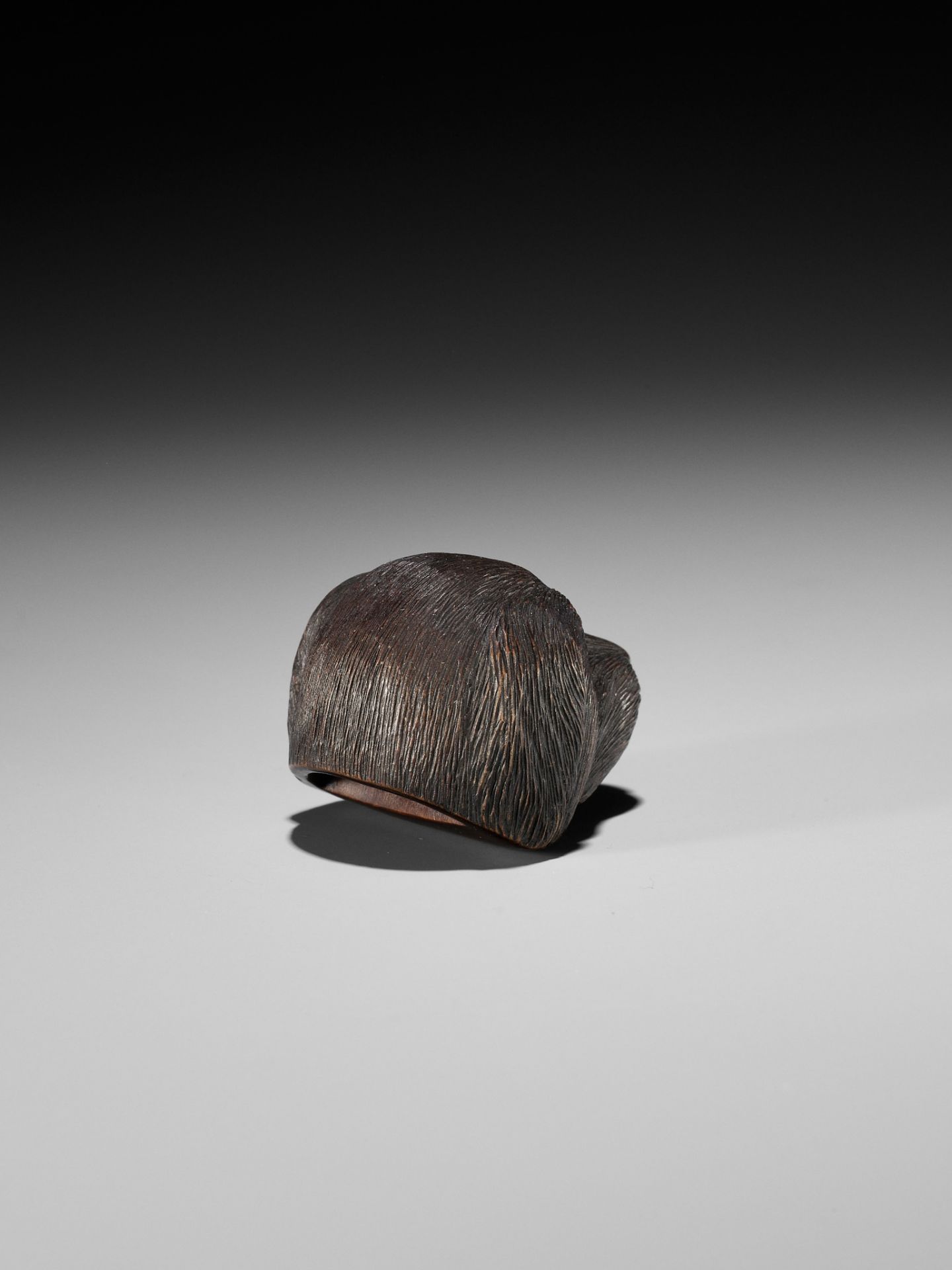 CHIKUSAI: A RARE WOOD NETSUKE DEPICTING THE HEAD OF A DOG - Image 8 of 12