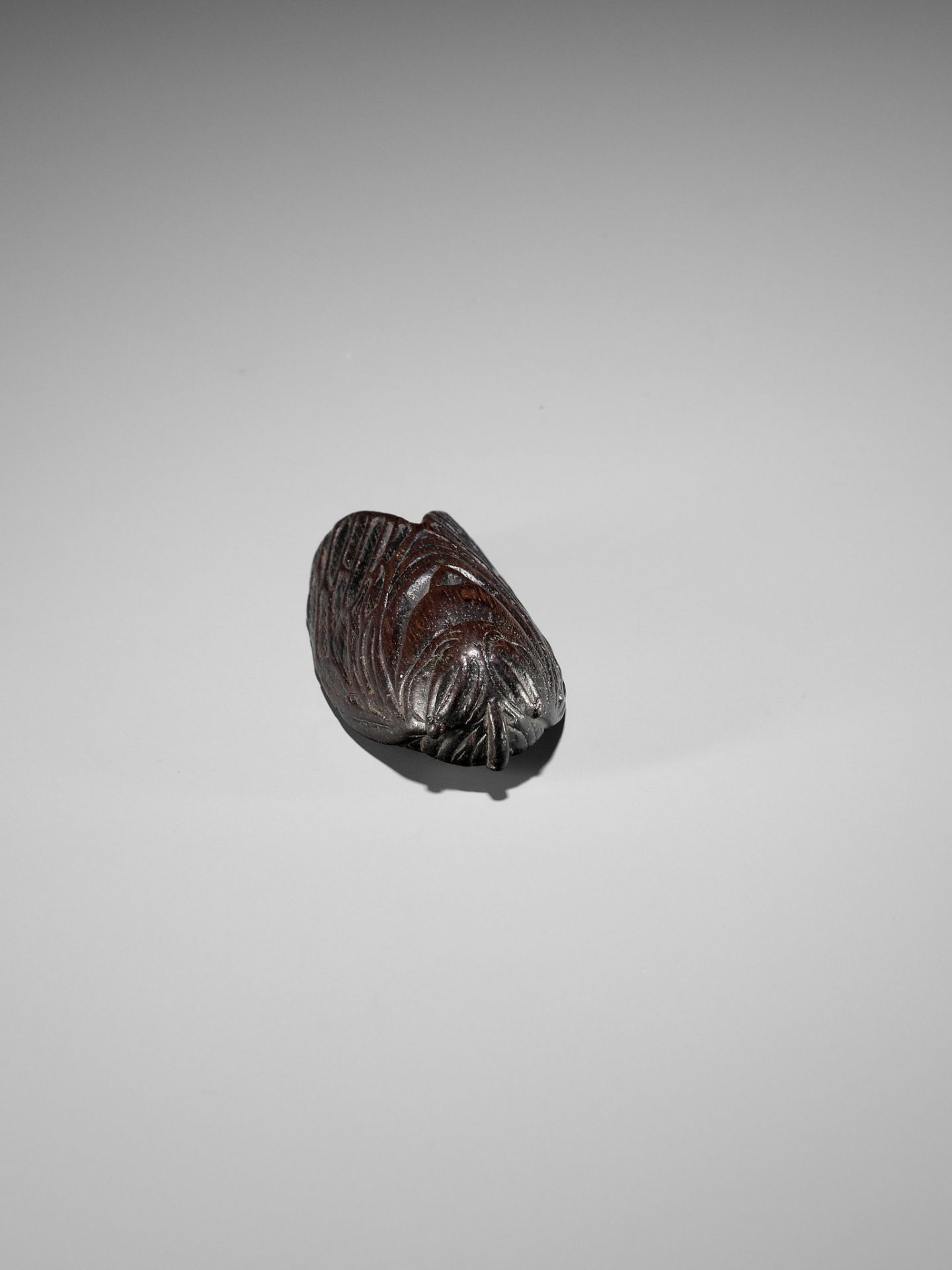 A RARE AND UNUSUAL WOOD MASK NETSUKE OF A CICADA - Image 6 of 12